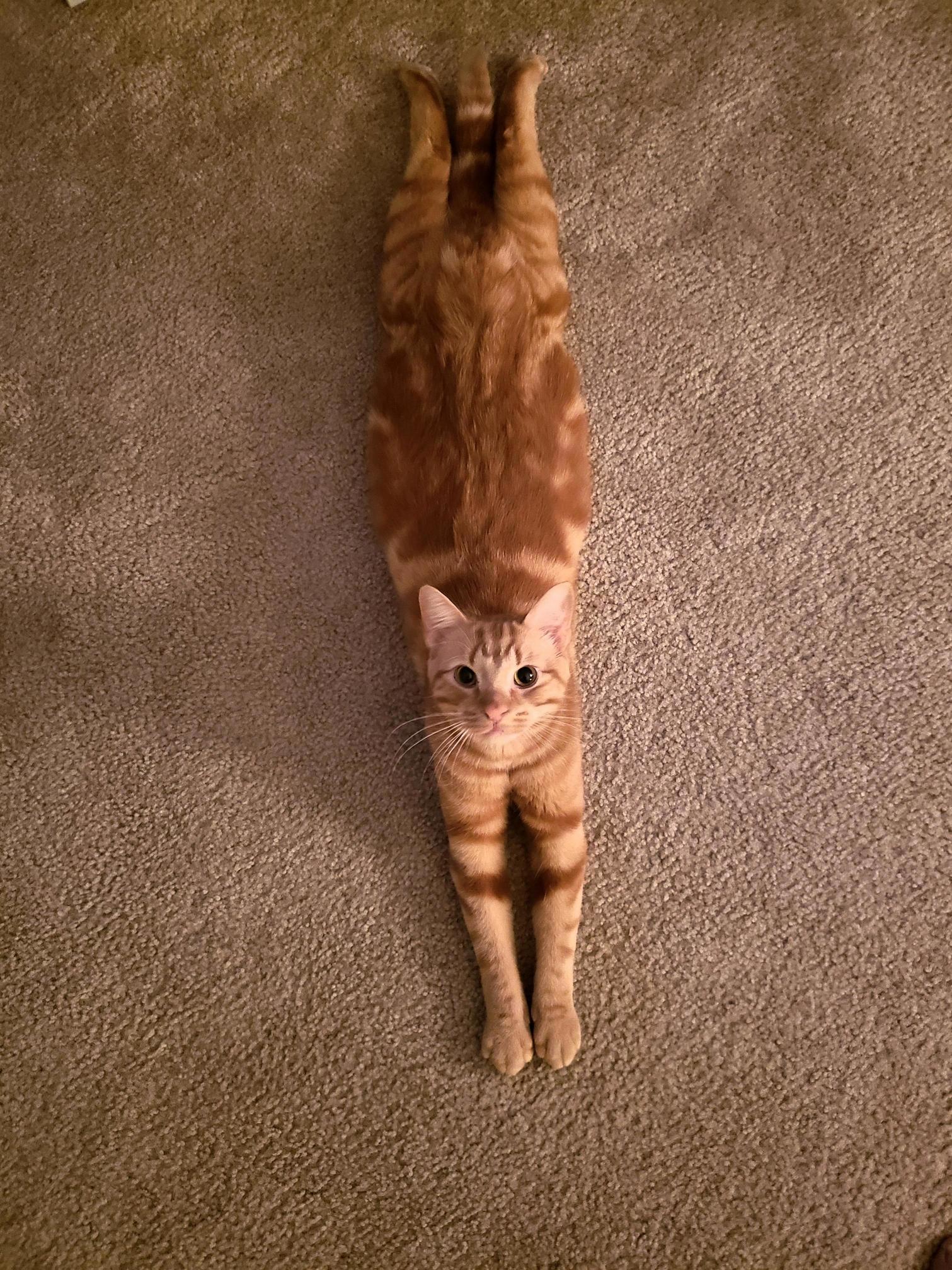 He Had This Weird Way of Laying Down...