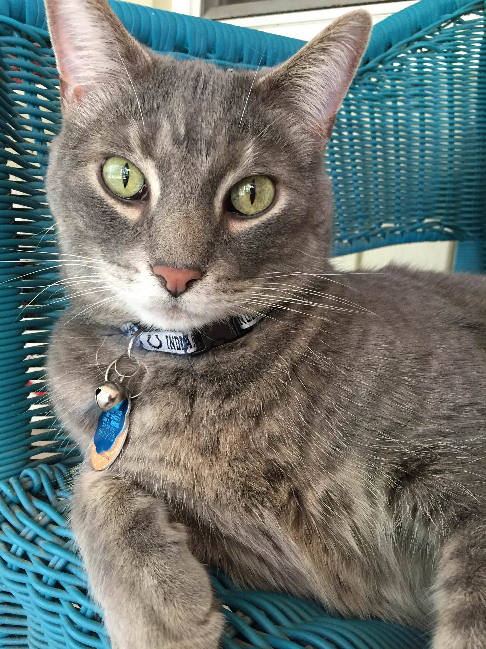 He Is a Very Pretty Boy.