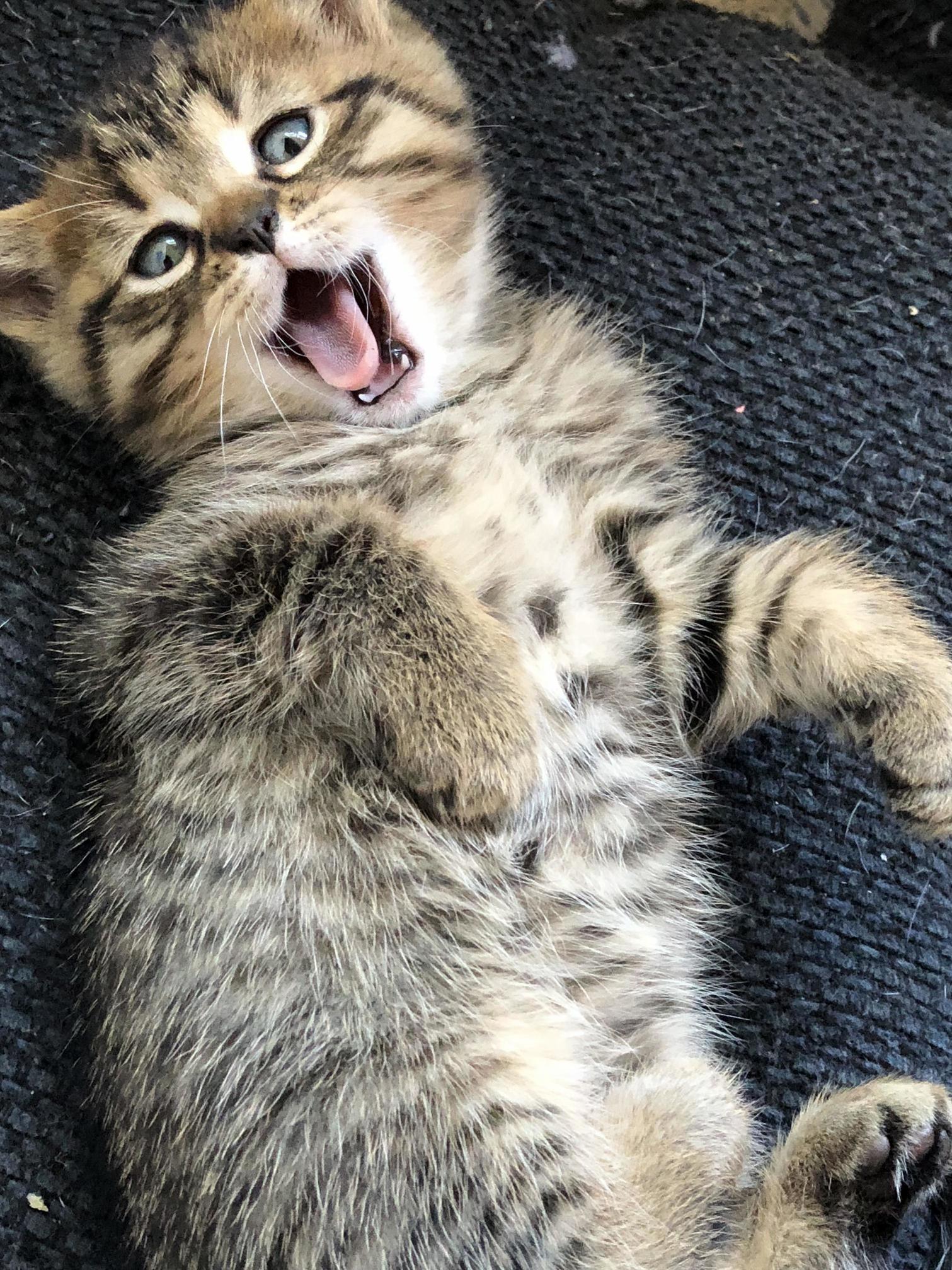 Hellllllllllo