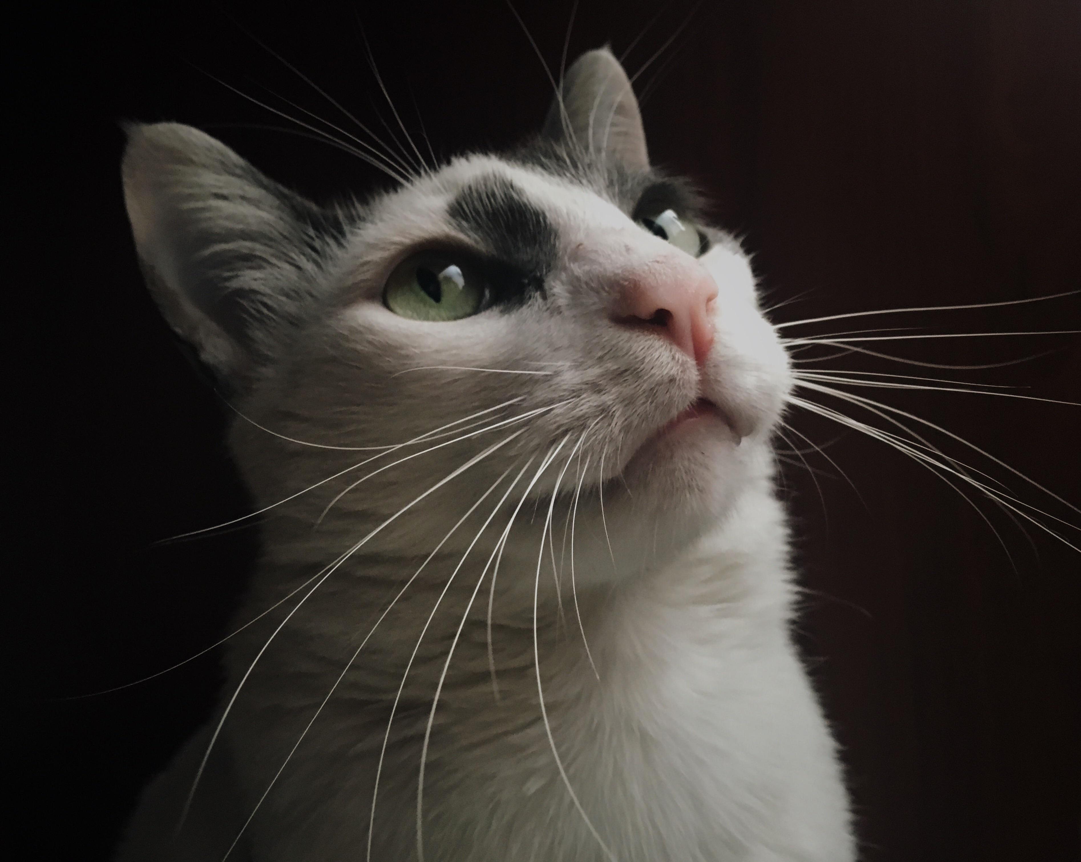 Her Name Is Lilly.