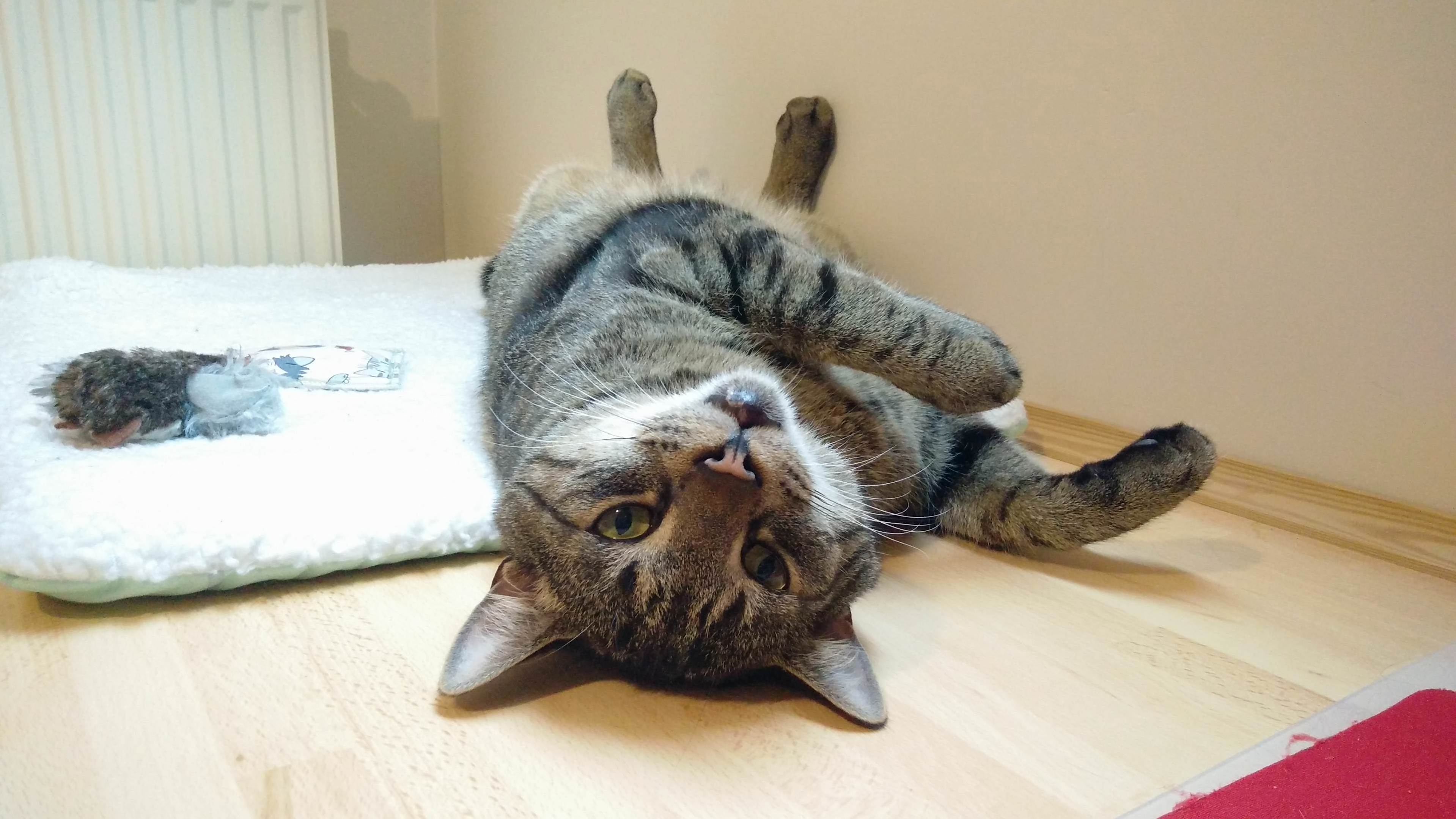 Hes a Bit Special -)