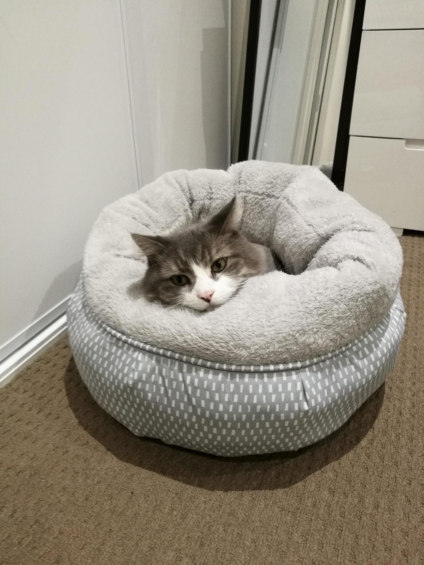 Hes Never Liked Anything I Bought Him Before