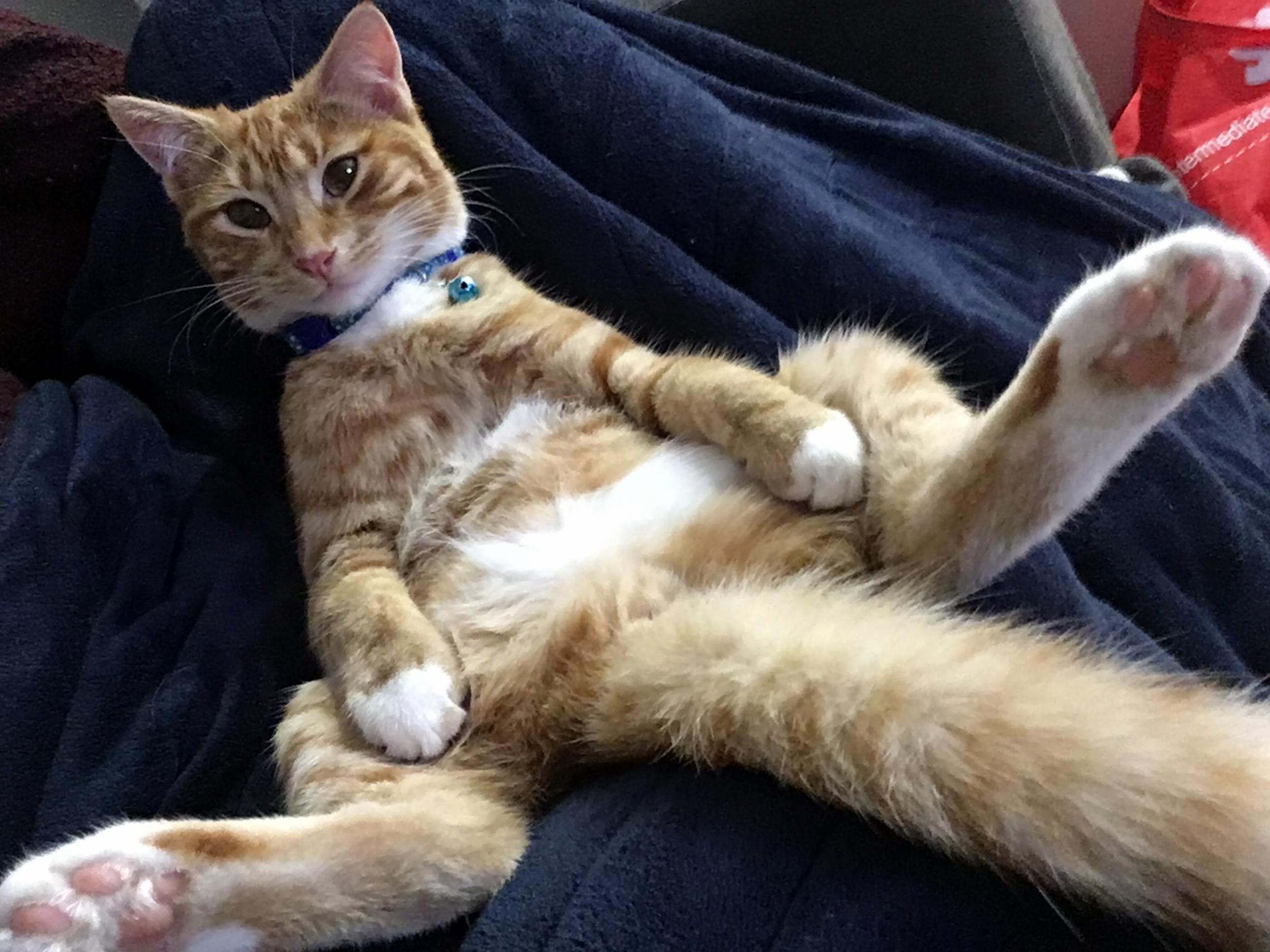 Hey Girl, How You Doin