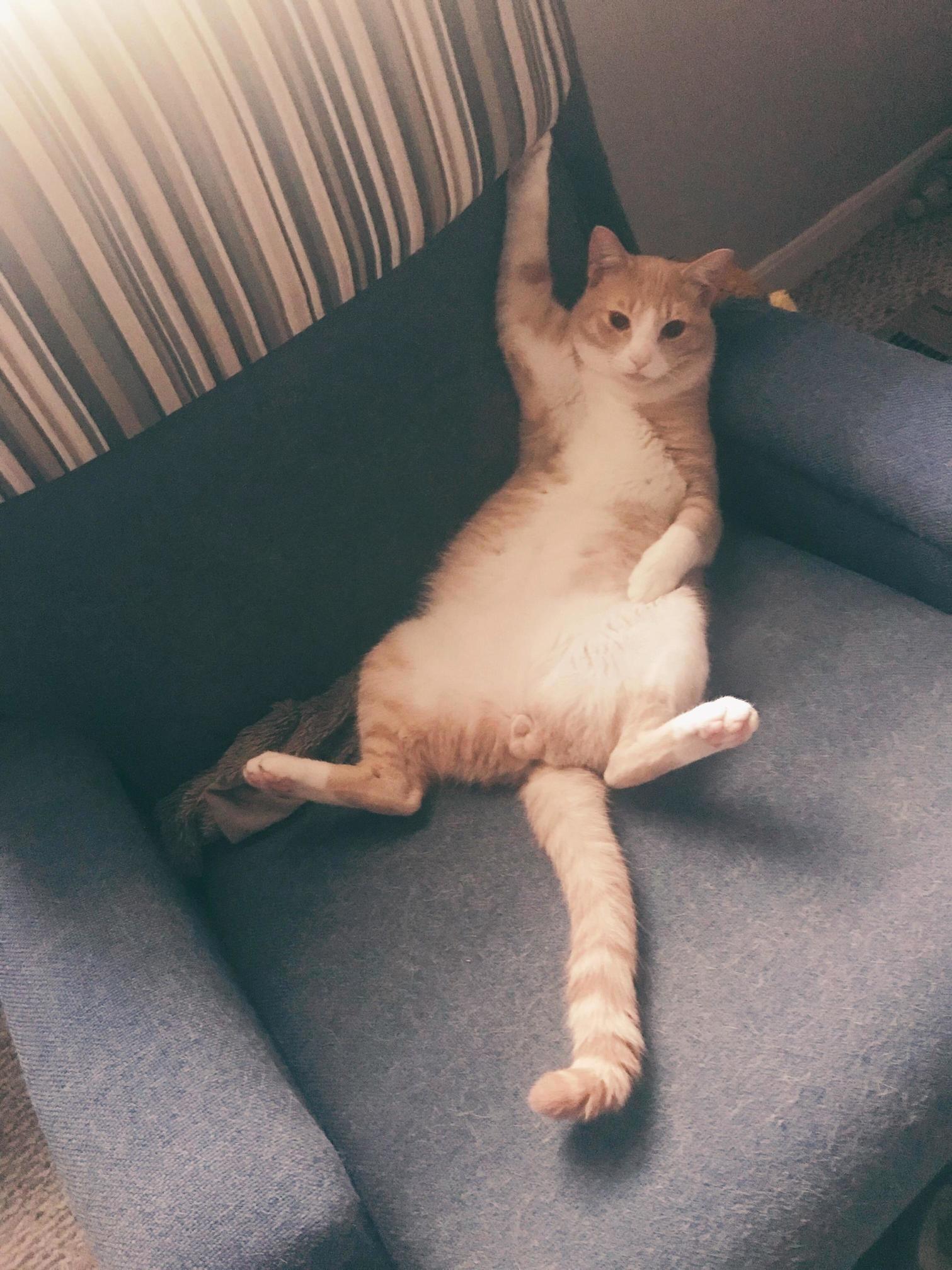 Hey Ladies.