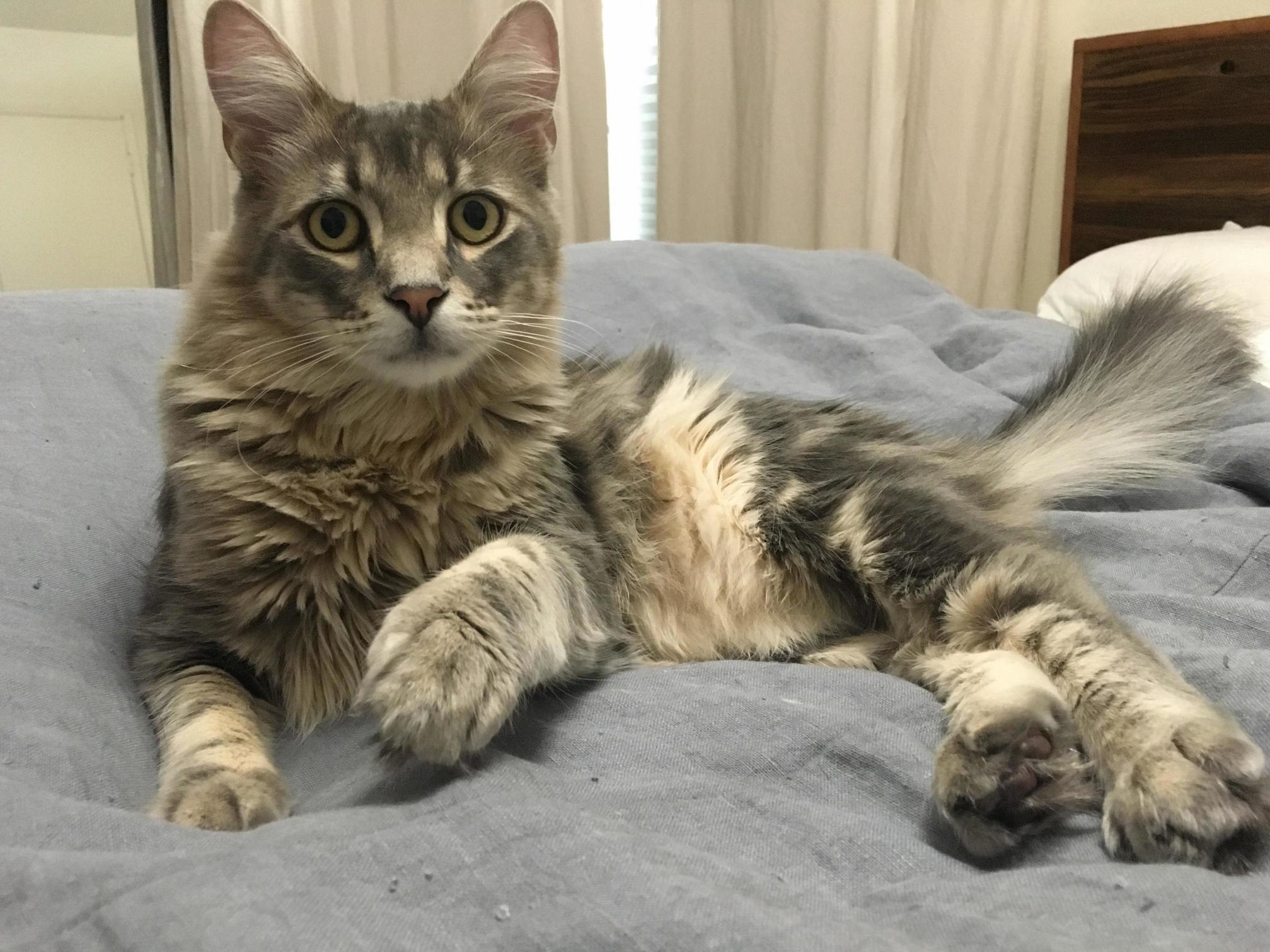 Hi Mom!