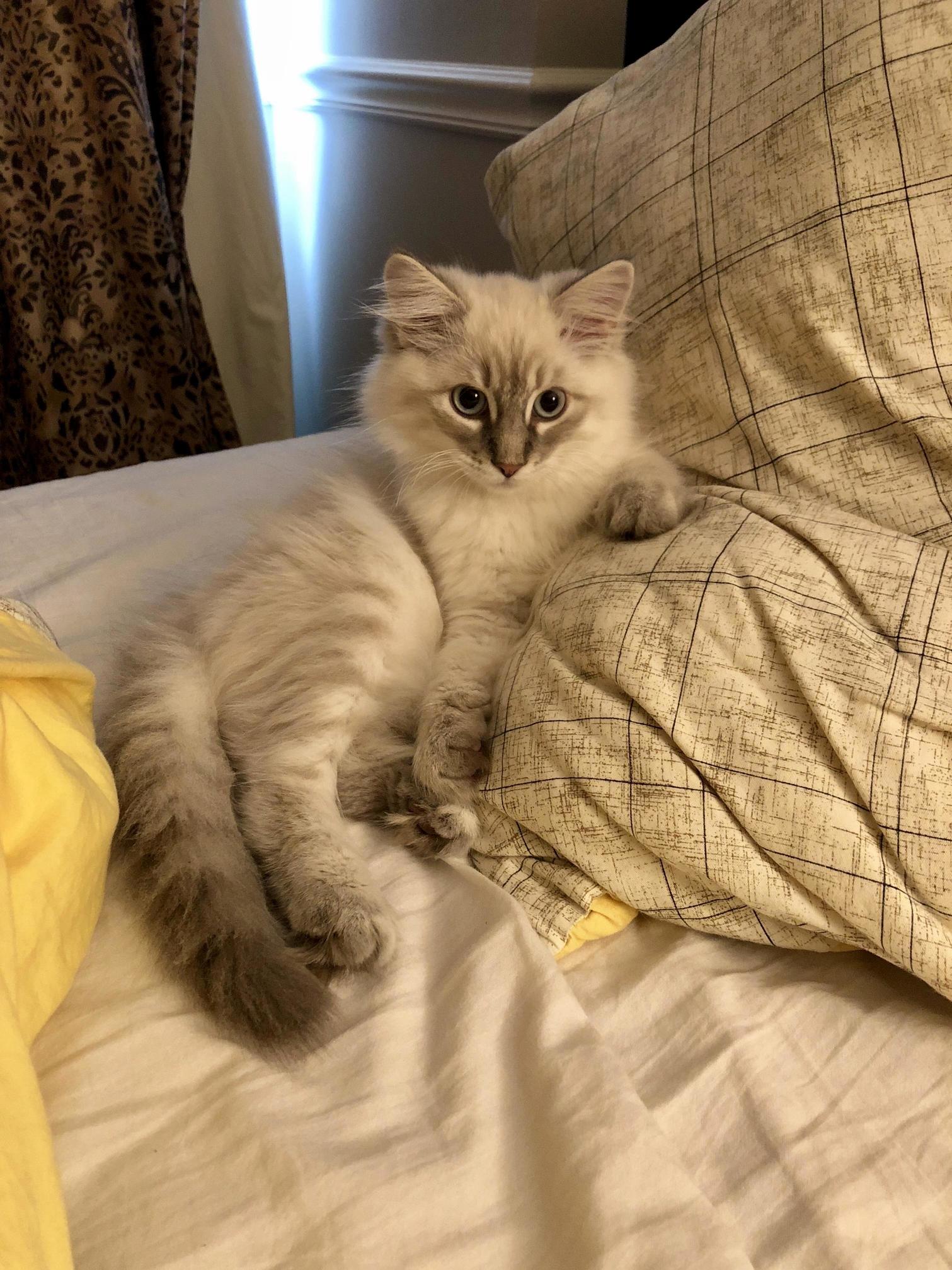 How You Doin