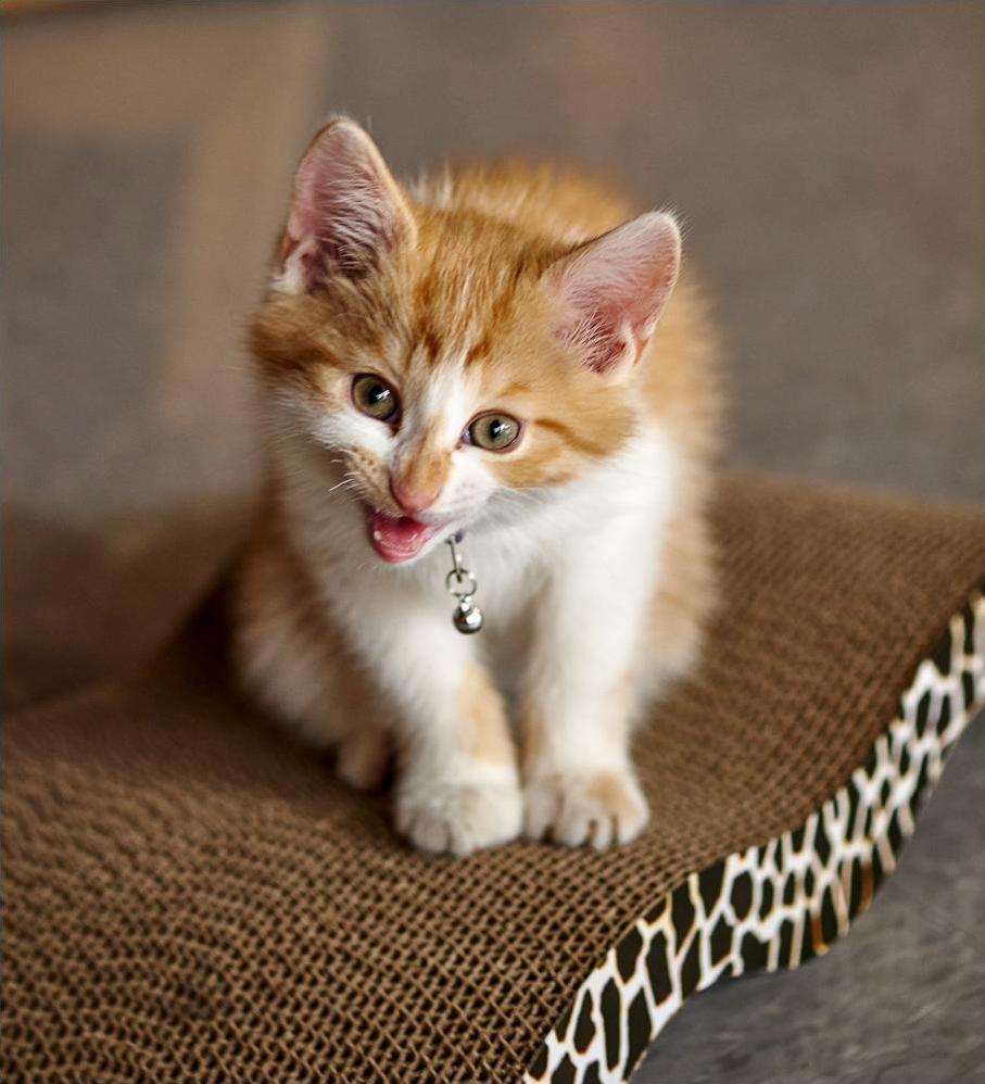 I Am Fearless!!