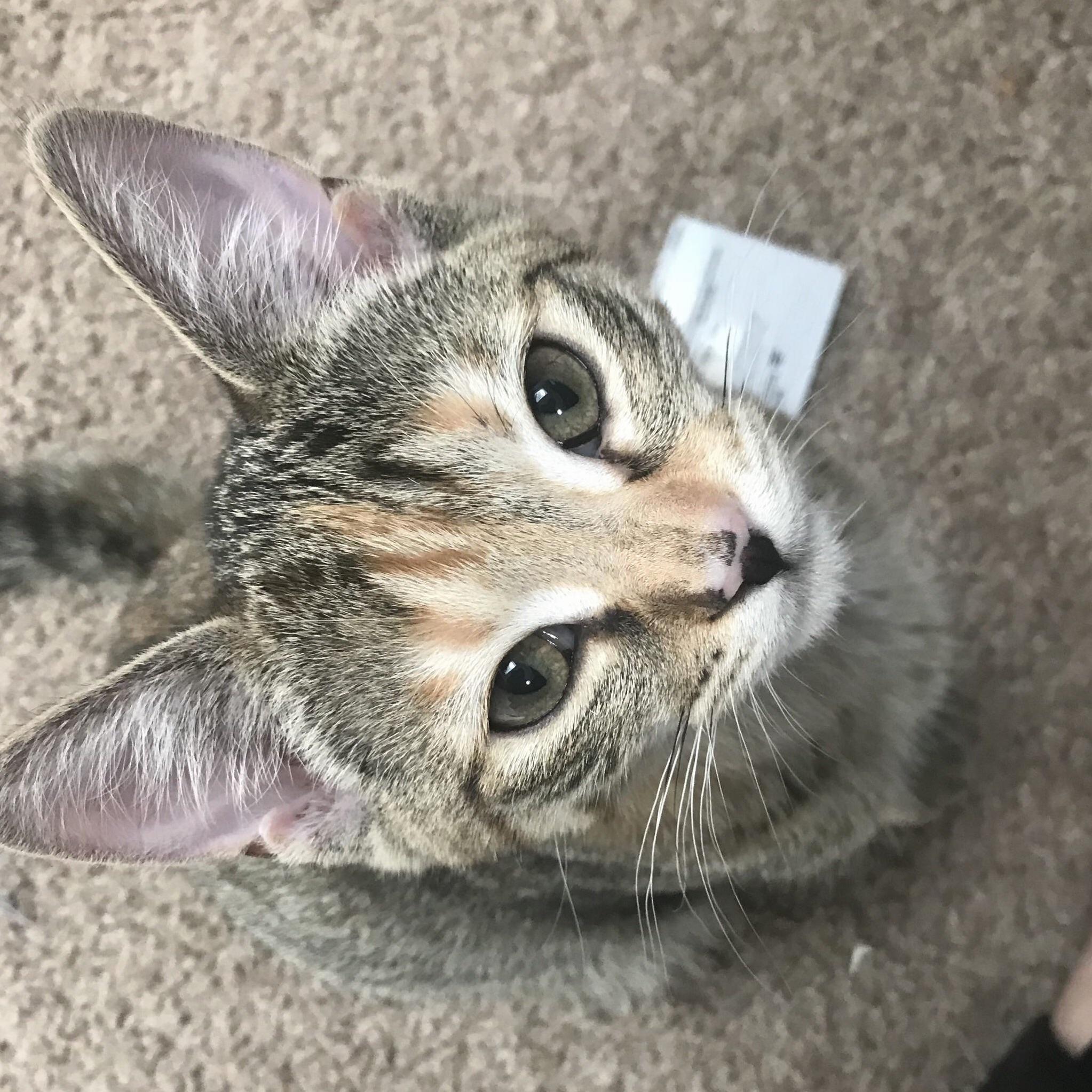 I Can Never Stay Mad at This Face...