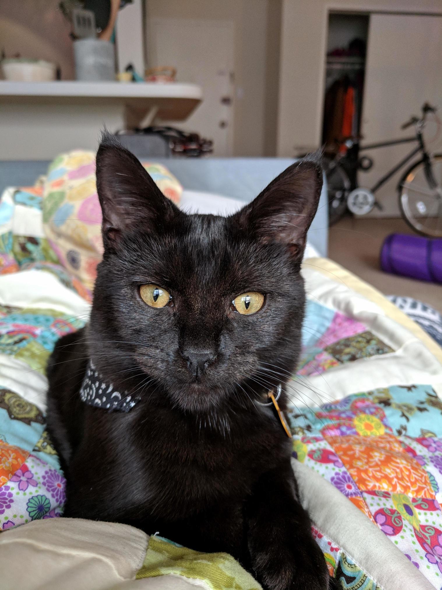 I Can See Into Your Soul Hooman