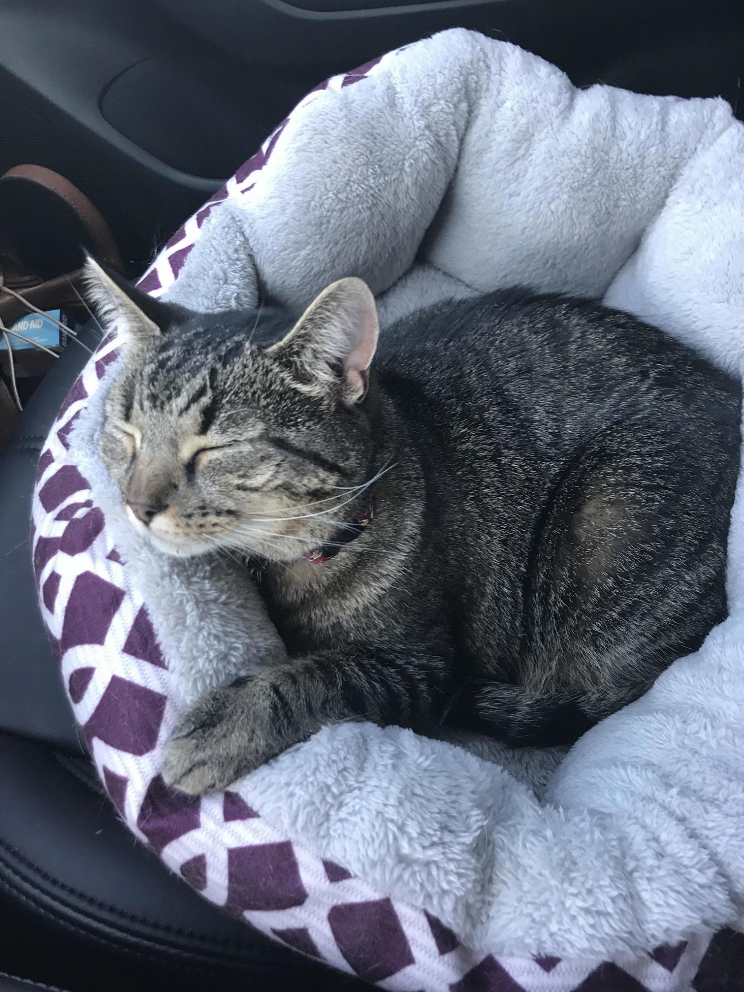 I Have the Best Road Trip Buddy.
