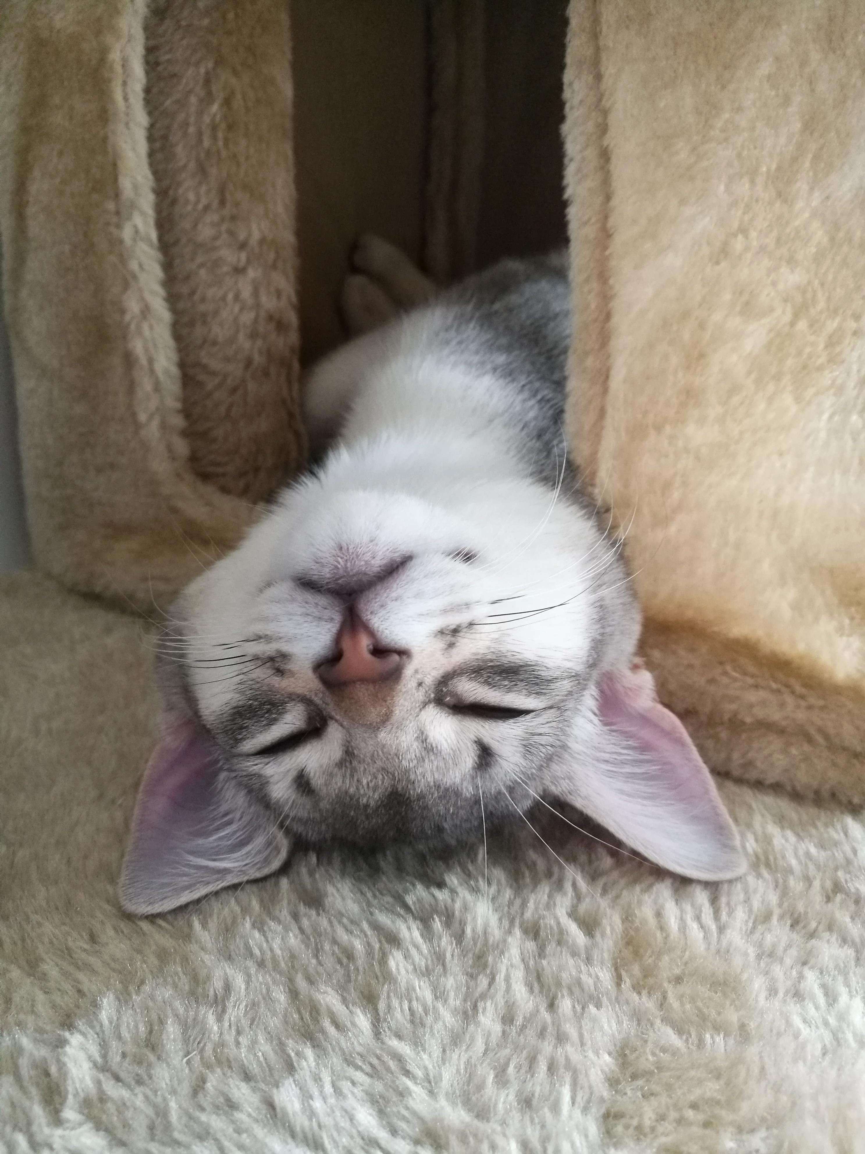 I Love This Photo of Our Little Girl! Reddit, Meet Chloe.