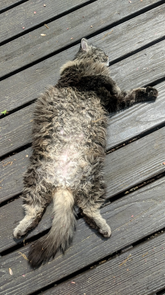 I Love When She Does This