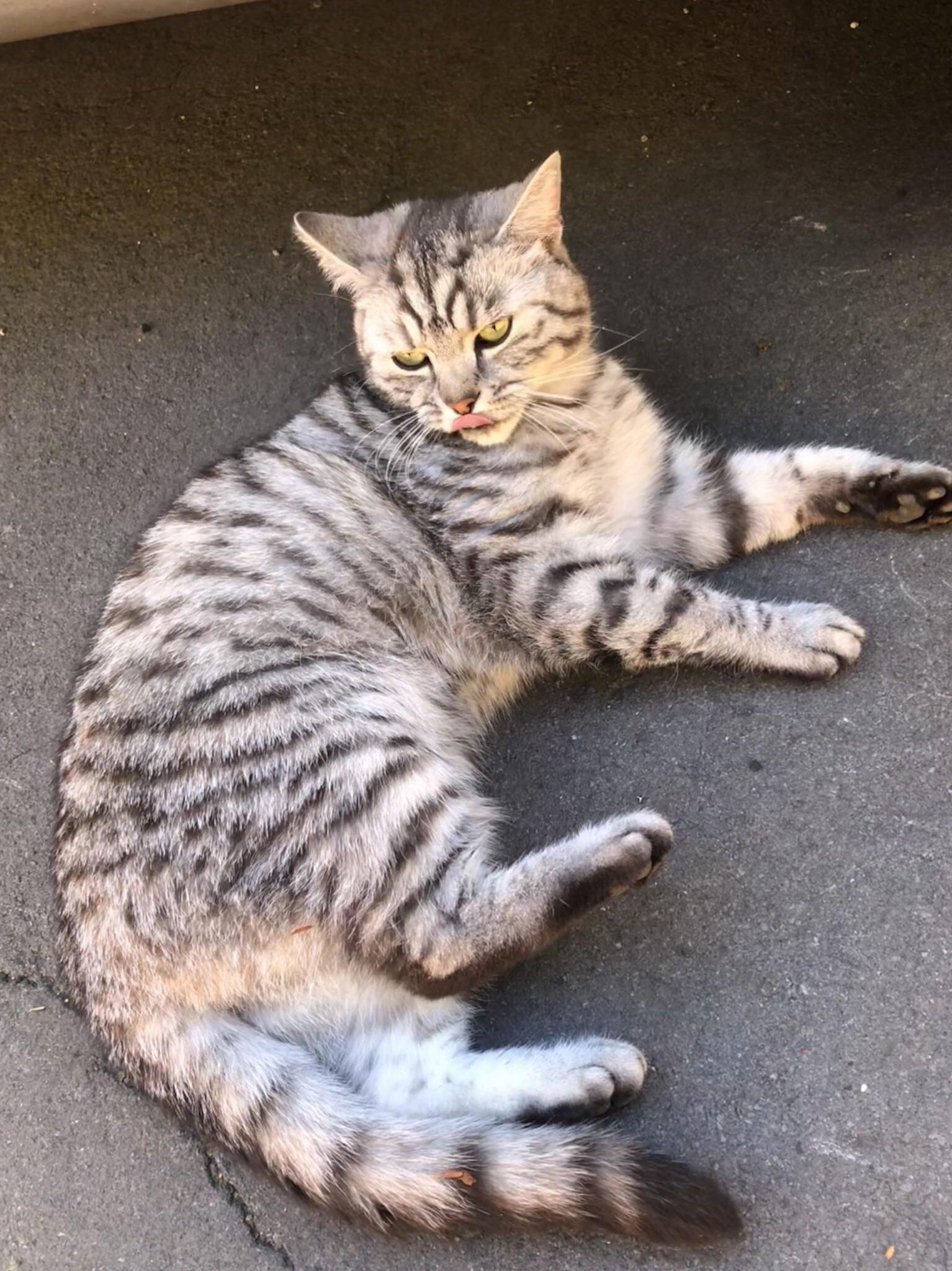 I Saw This Beautiful Baby Yesterday and She Let Me Pet Her!!!