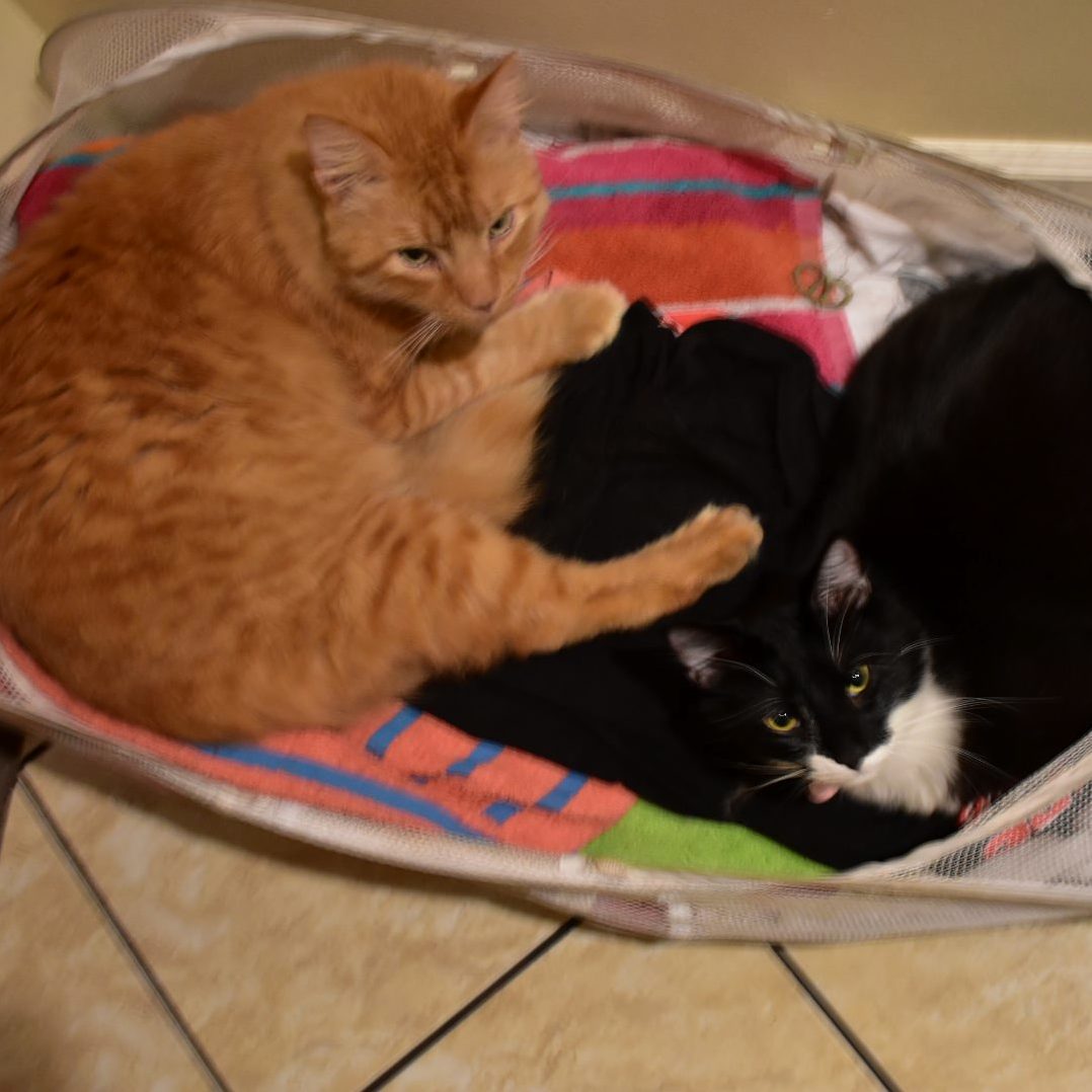 I Was Gonna Wash That...