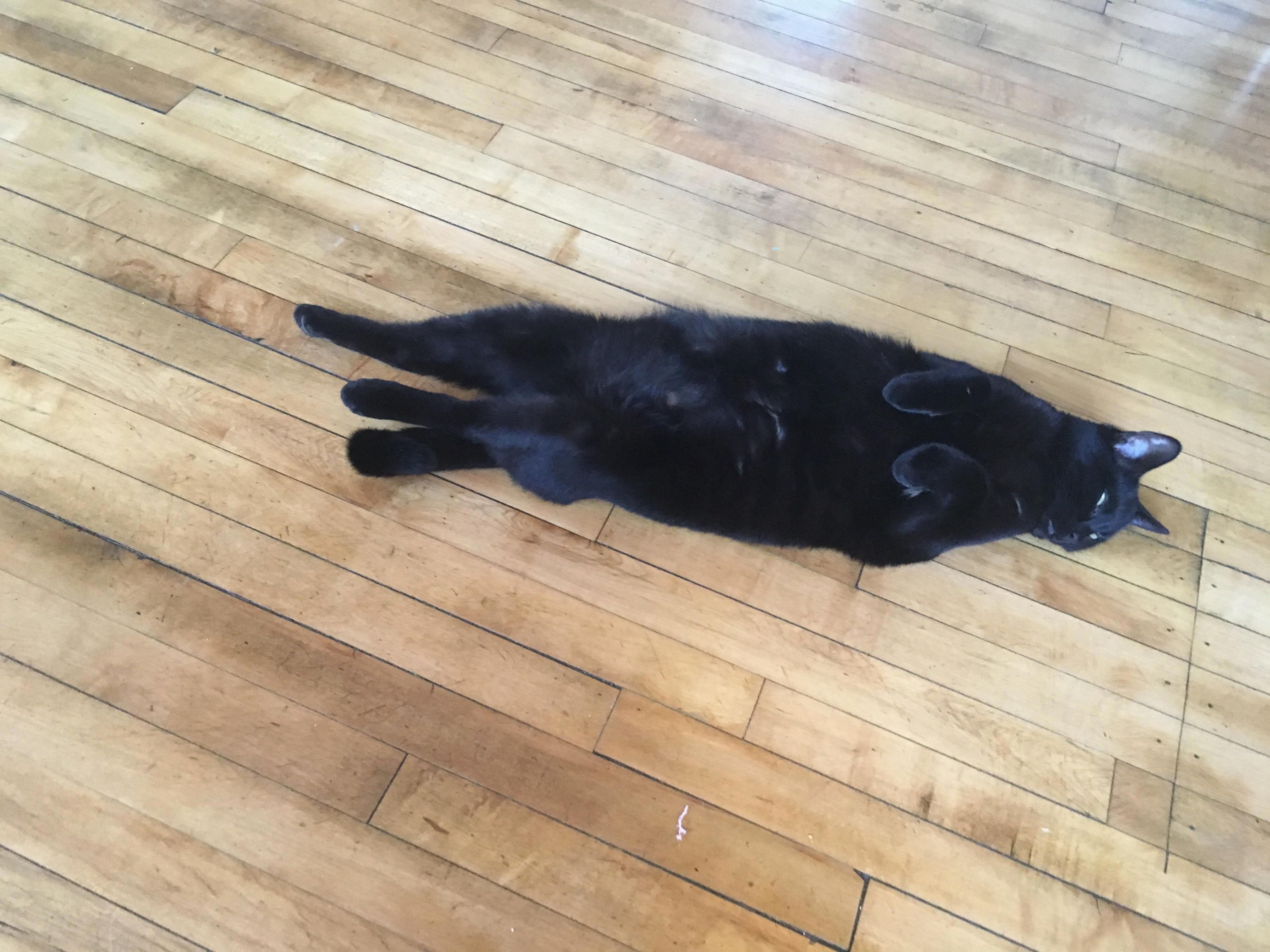 I Wish I Was This Relaxed.