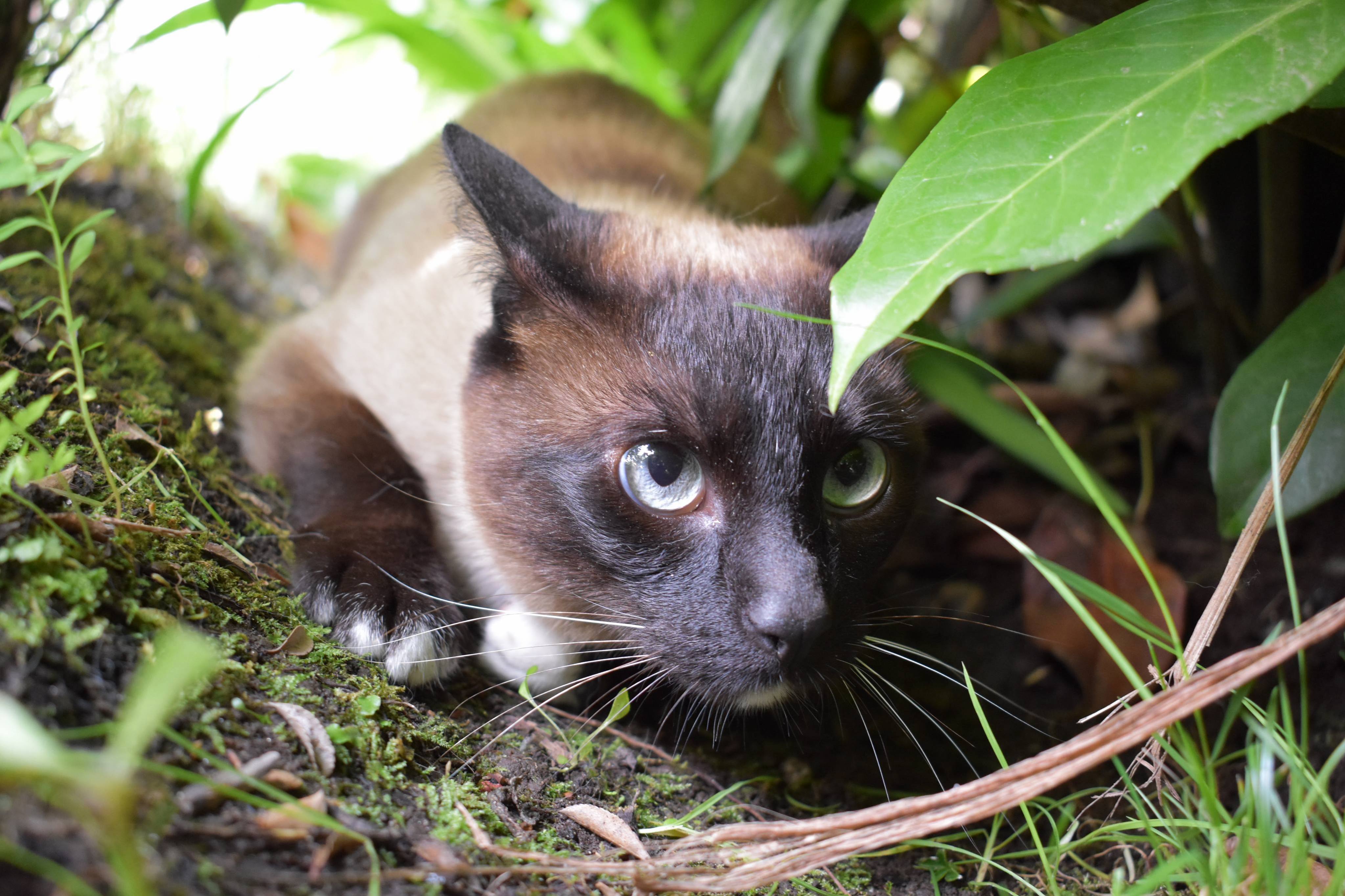 Im Watching You!