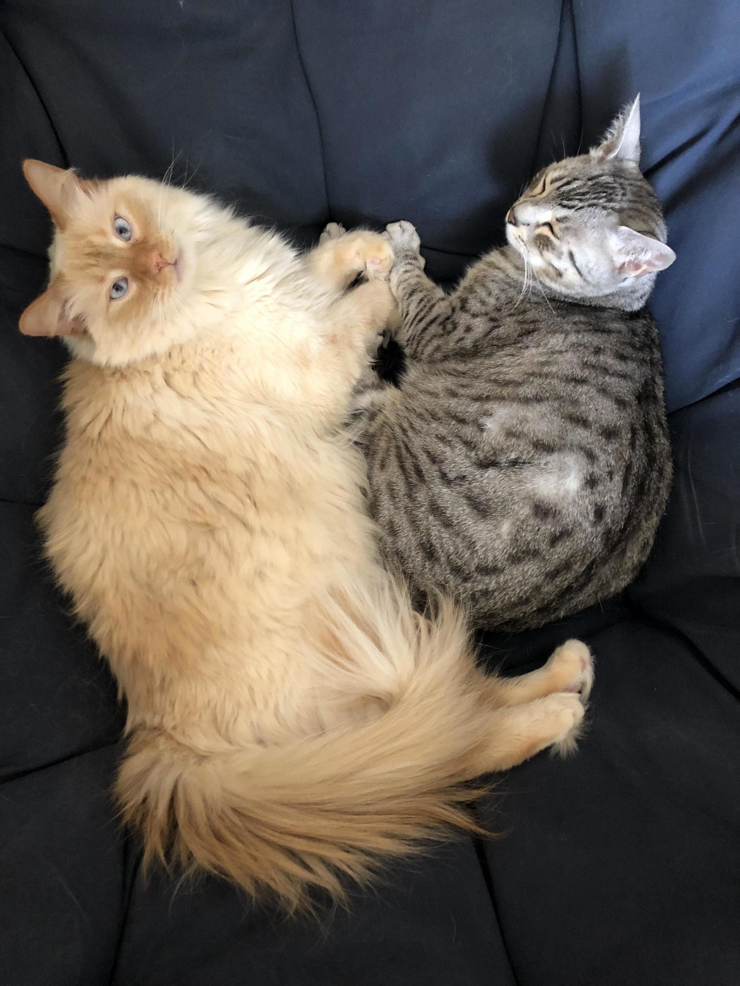 In My Papasan with My Best Friend