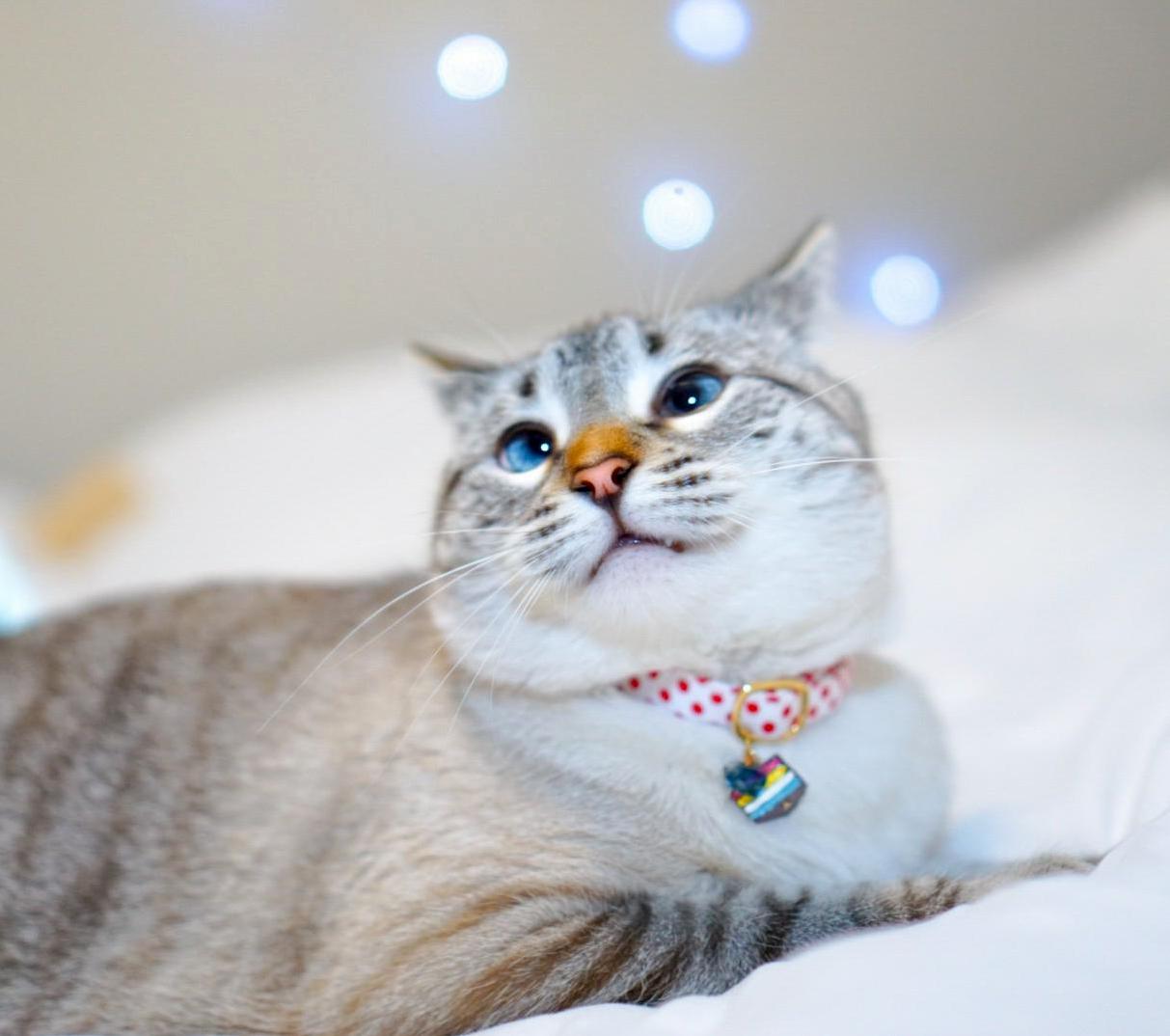 Its This Little Derps 1st Birthday!!!