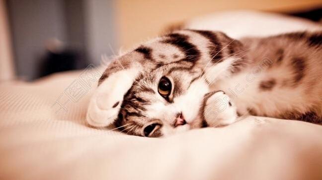 Its Time to Get Up