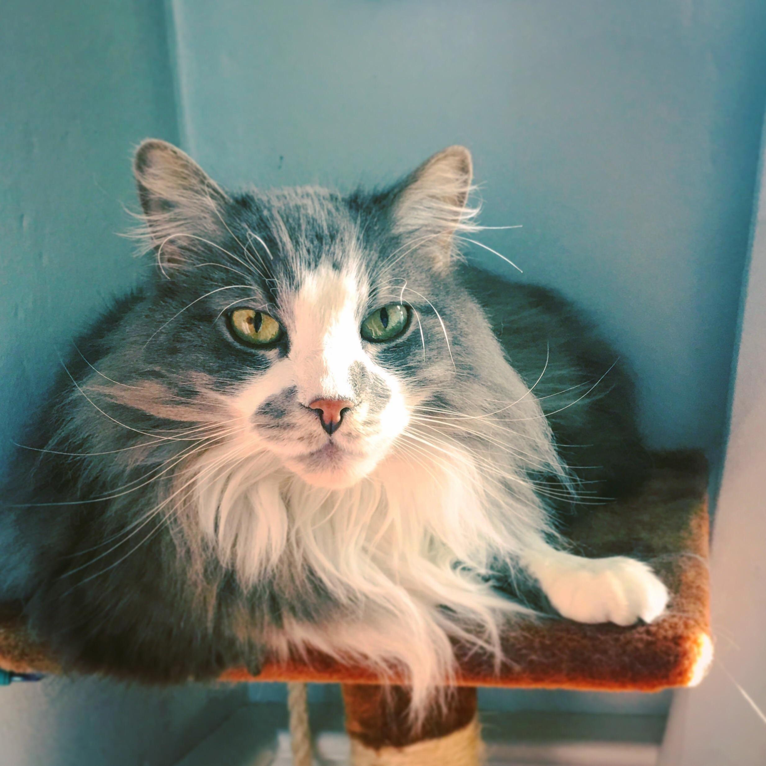 Im So Lucky That I Get to Gaze Upon This Majestic Creature Every Day.