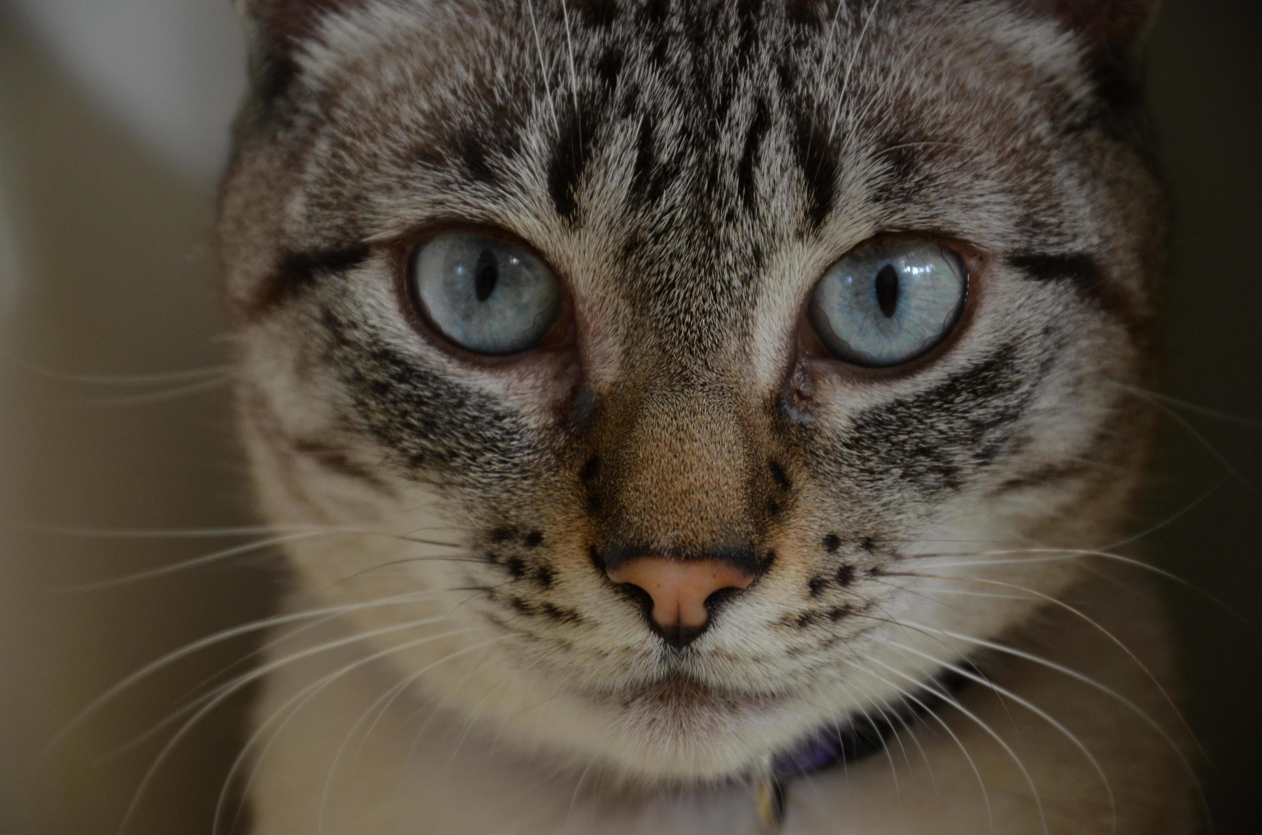 Jorge Is So Beautiful and Hypnotizing!