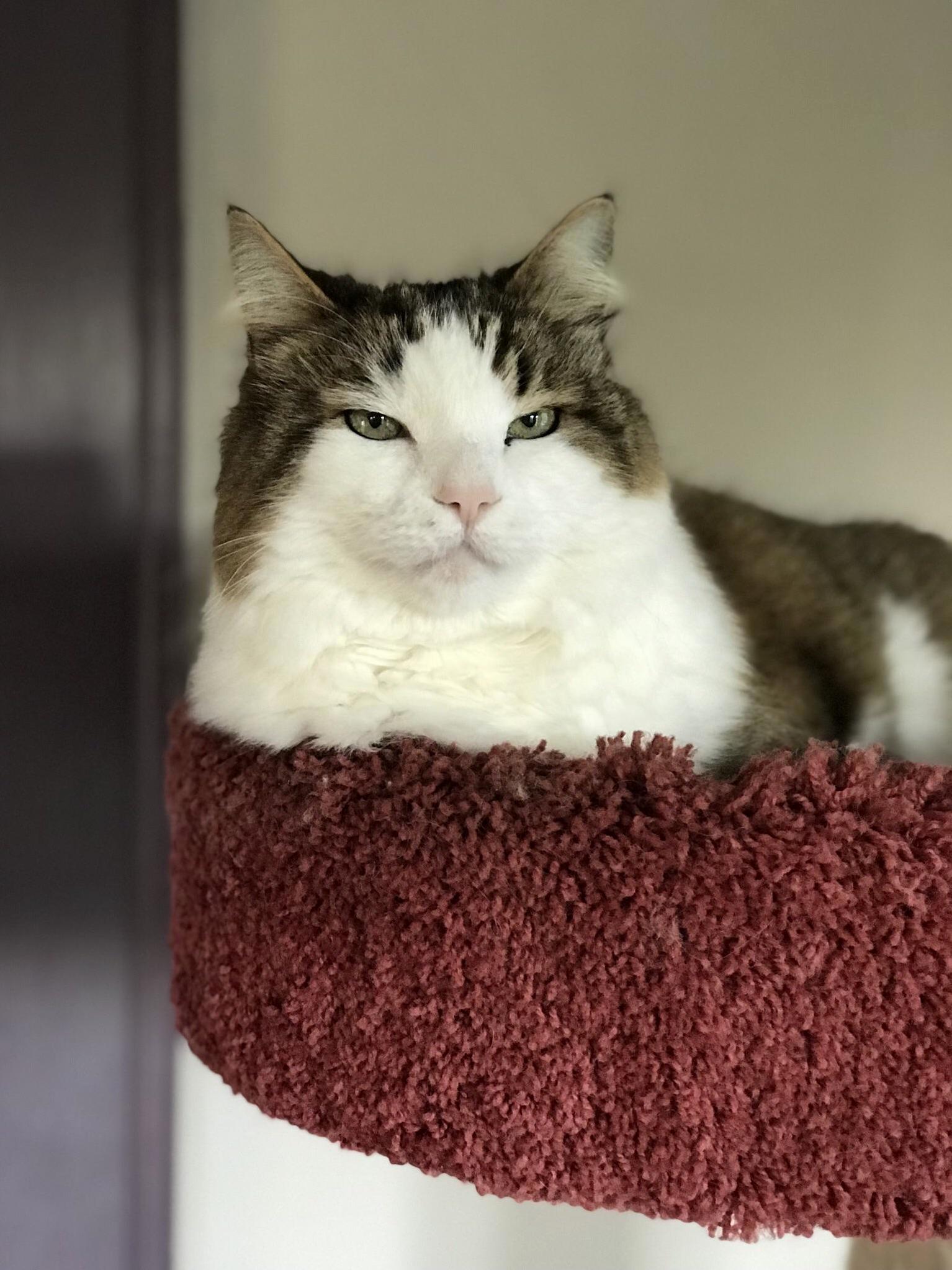 Judgy Mcjudgerson Is Judging You