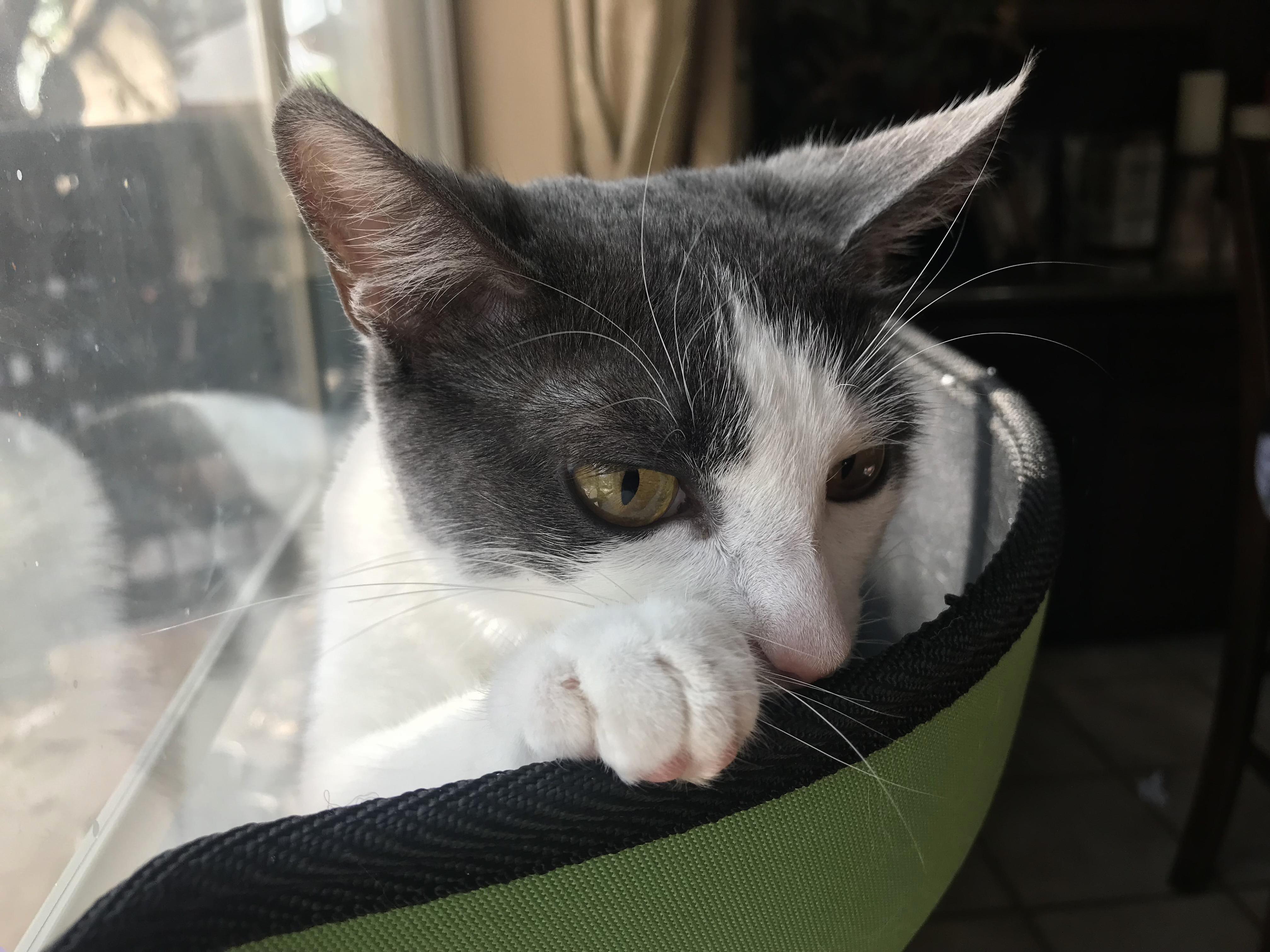 Just Hangin Out
