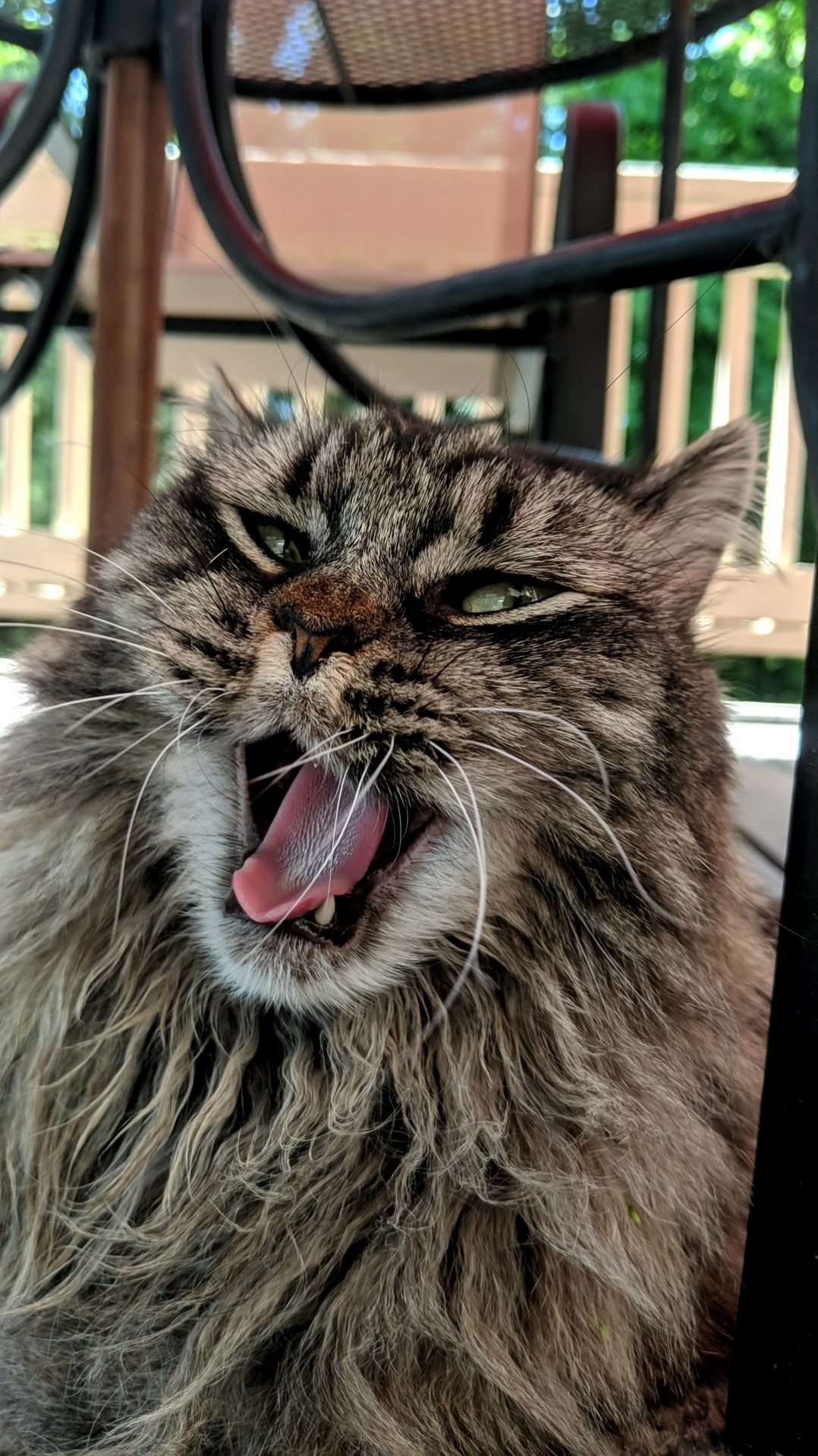 Just Woke Up from a Nap