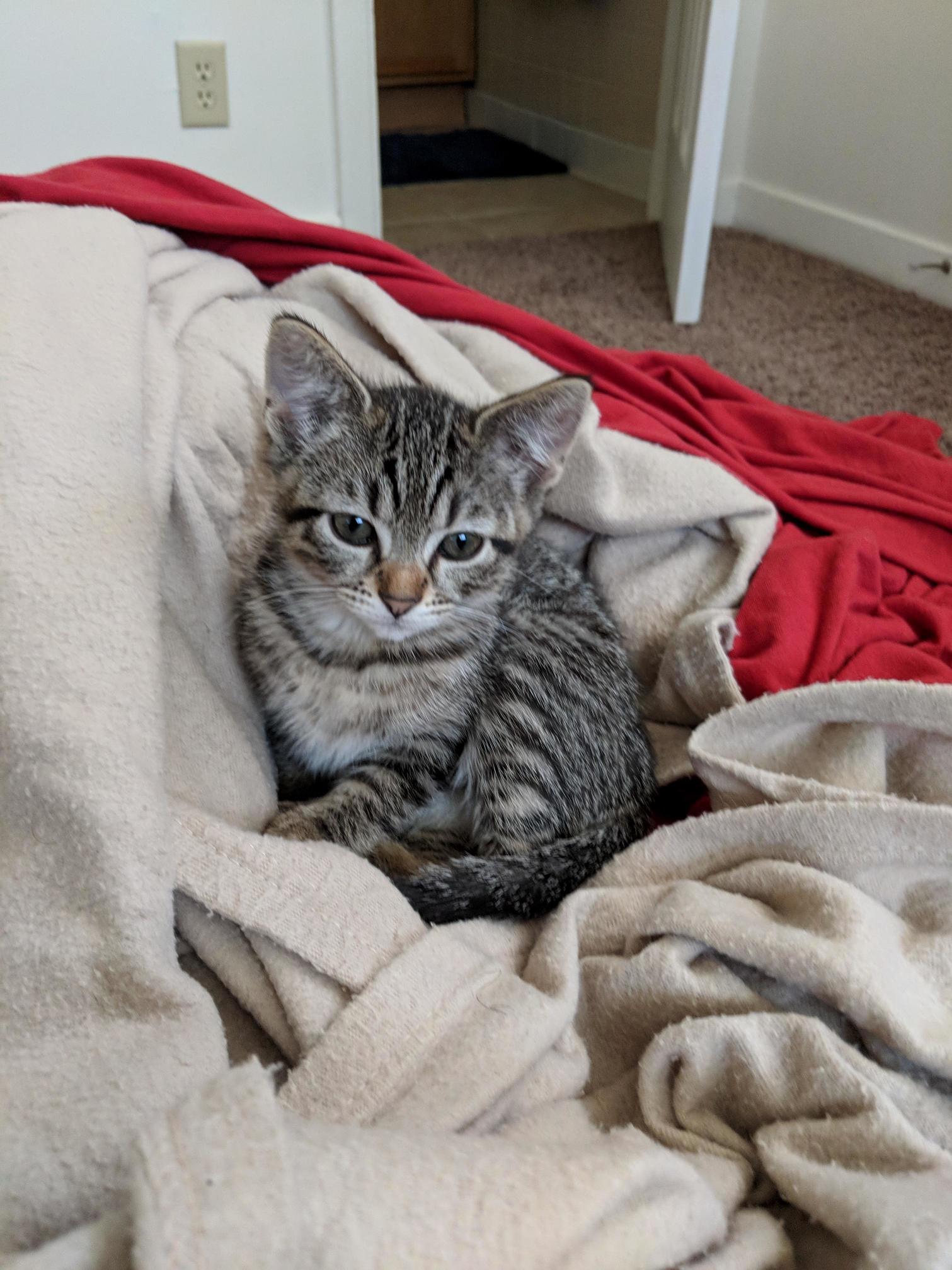 Just Woke Up from Her Nap
