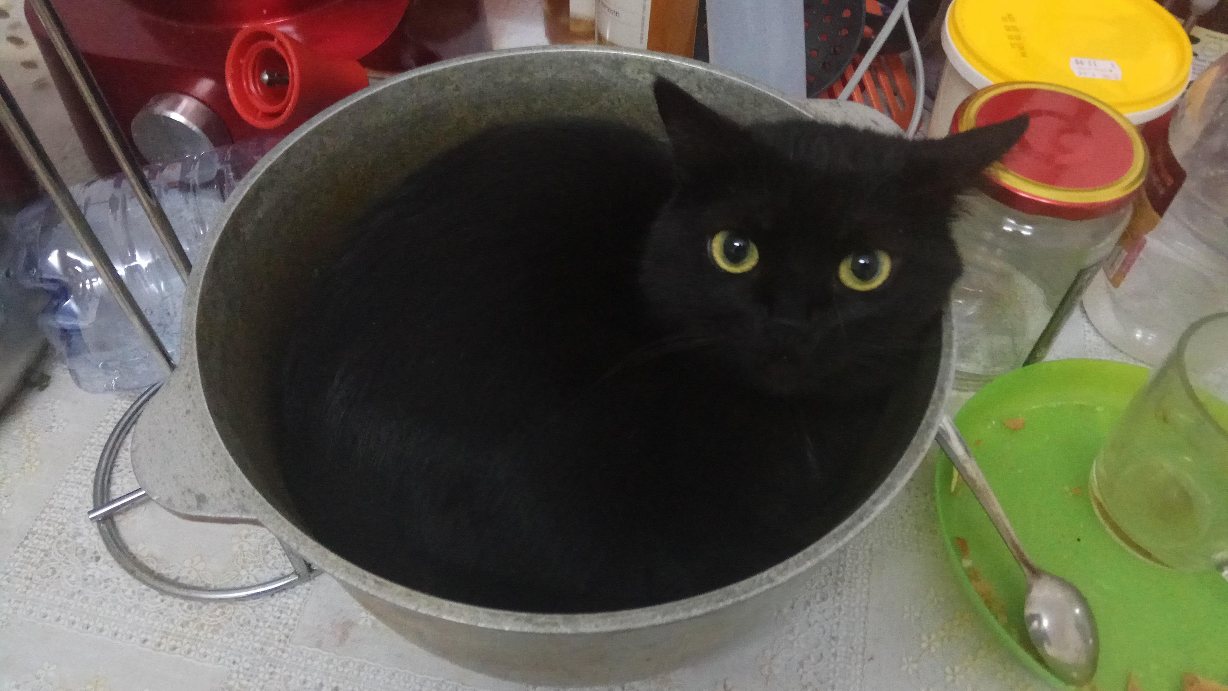 Just... Why Its Not Even Comfortable