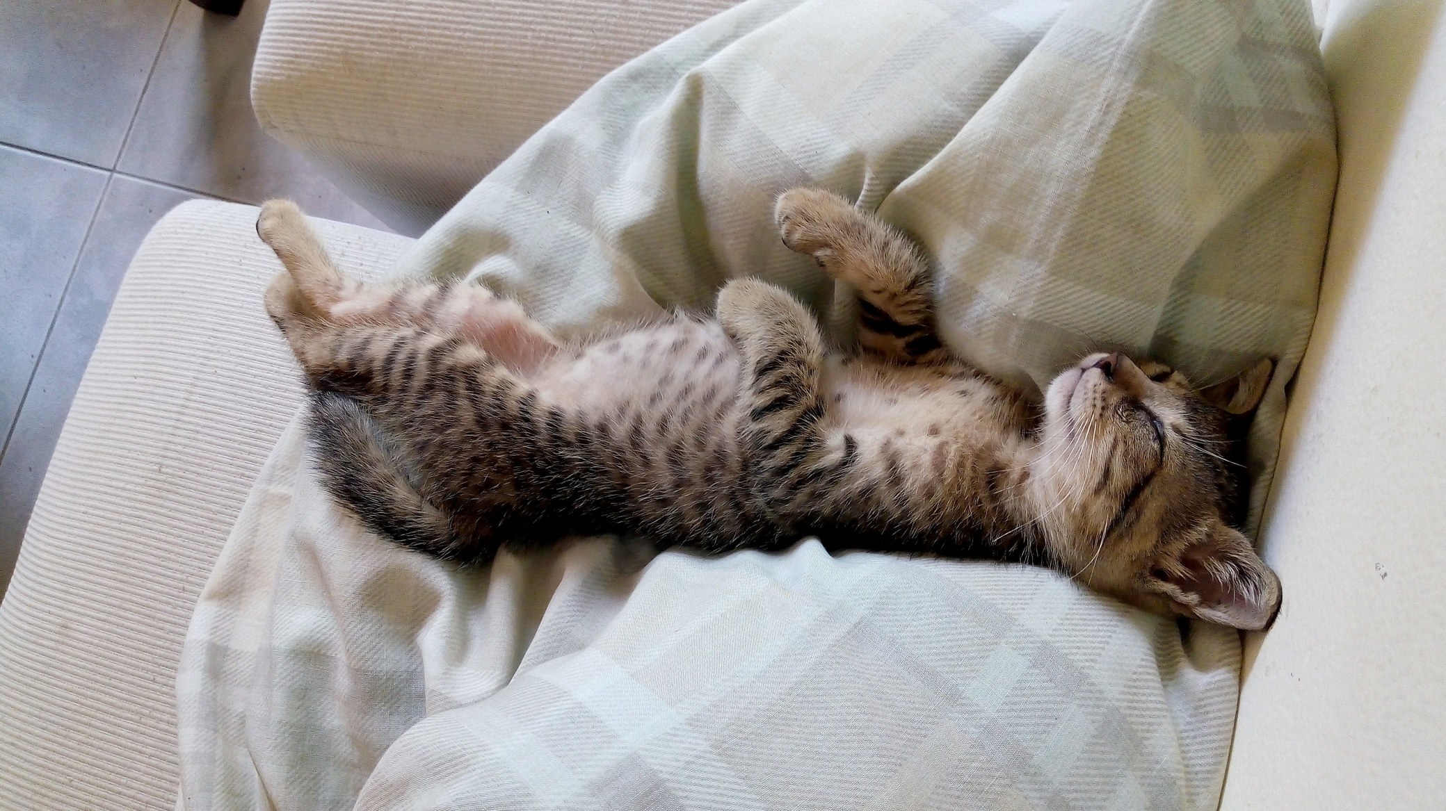 Lazy Ass, but Thats Why I Love Her