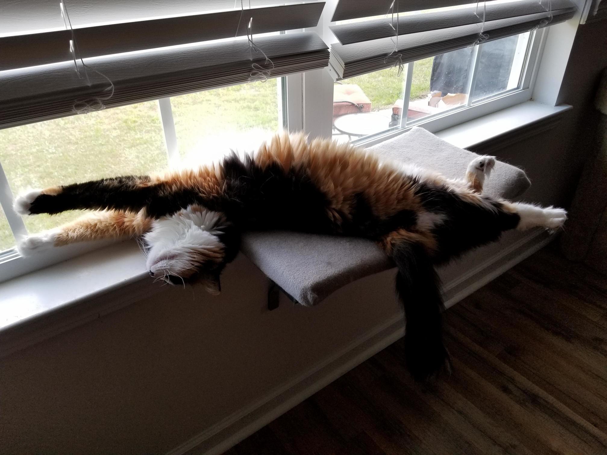 Lazy Saturday Strech