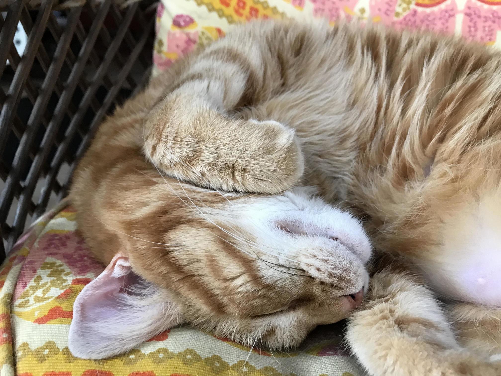 Life Is Hard. Sleep Harder.