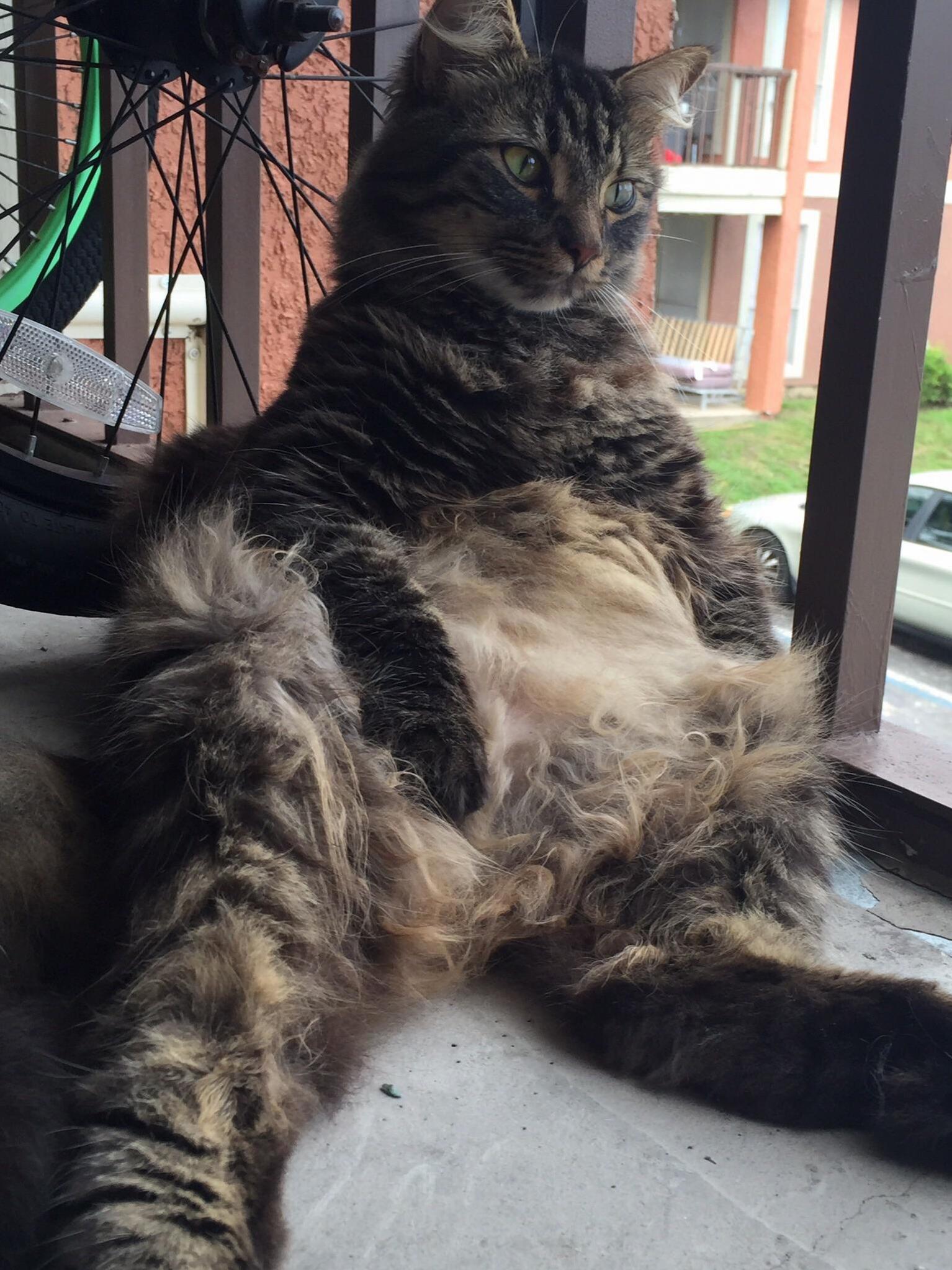 Living His Best Life