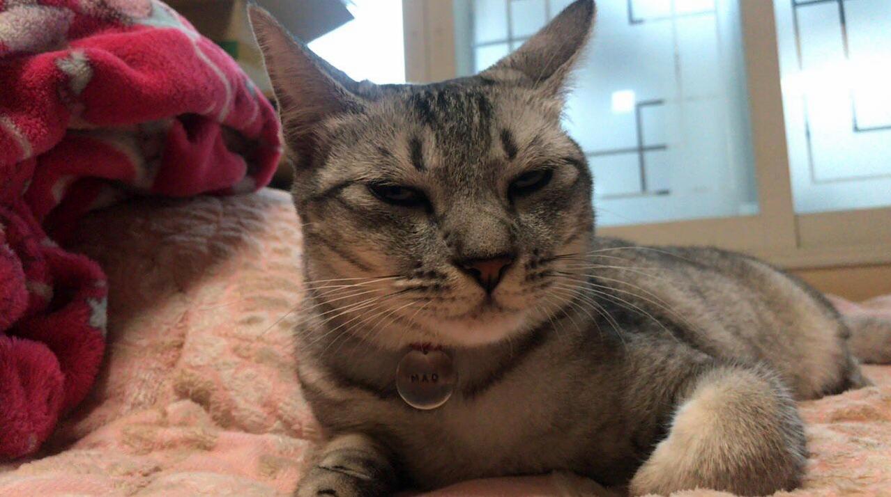 Look at Those Sassy, Disgruntled, Judging Eyes!
