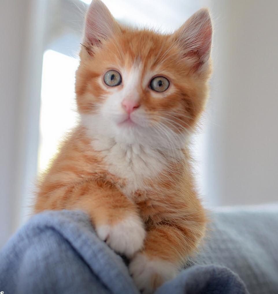 Lordy, Am I Cute or What!