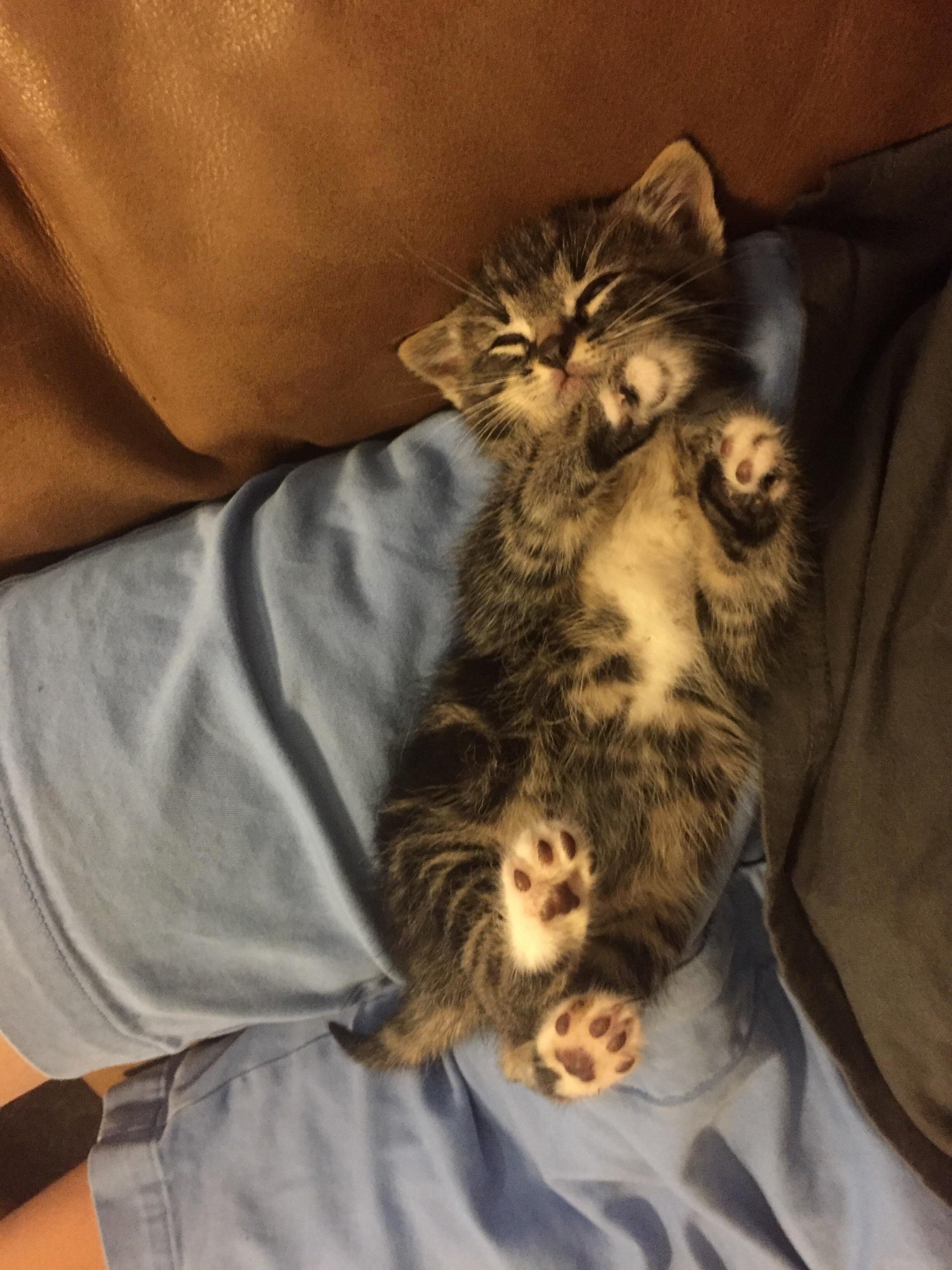 Meet Luffy! I Am Looking for a Place That I Can Have a Custom Name Tag Made (Including Custom Shape Design), Can Anybody Point Me in the Right Direction