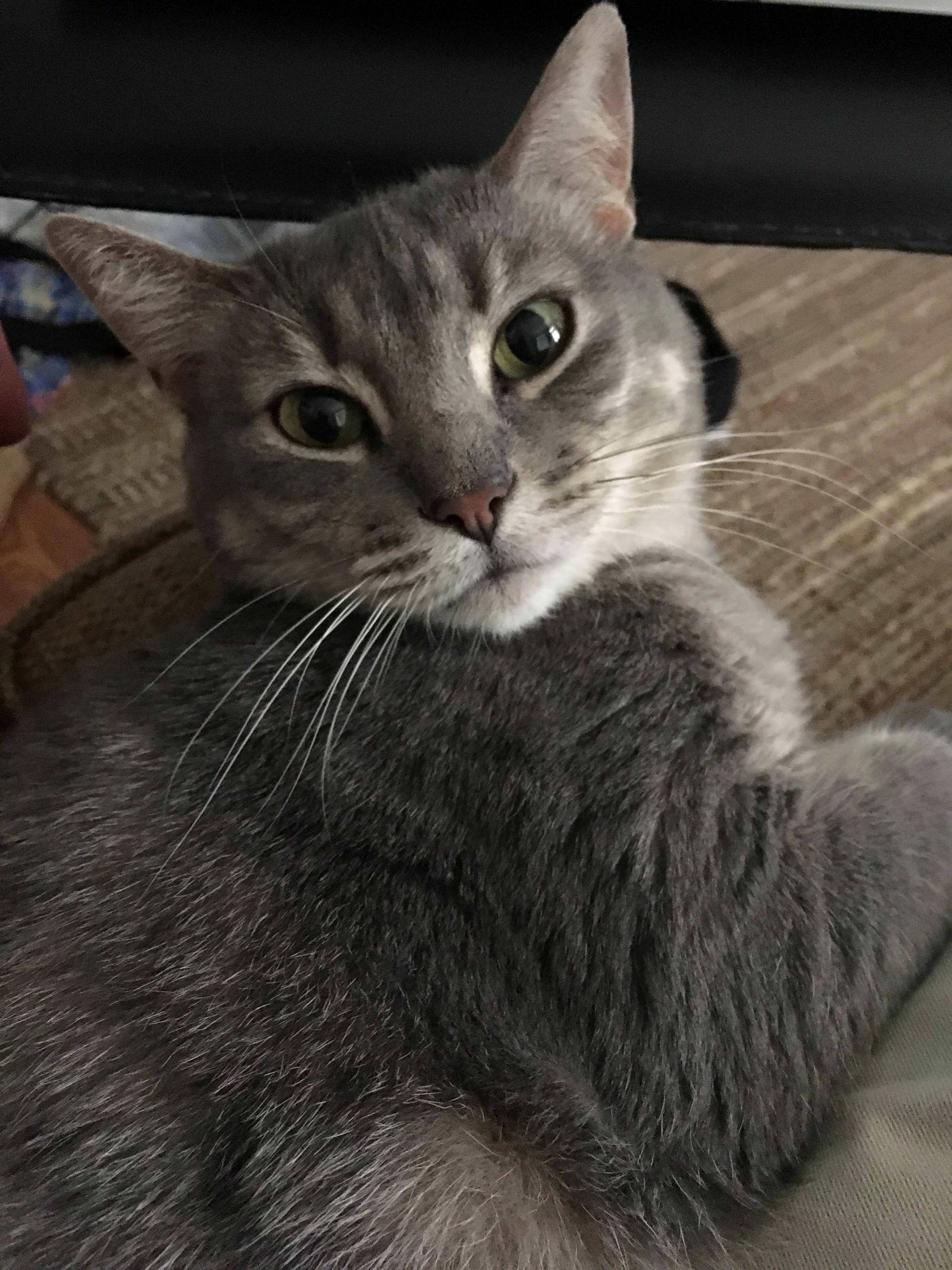 Mia Wouldnt Stop Staring at Me. I Wish I Knew What She Was Thinking About.