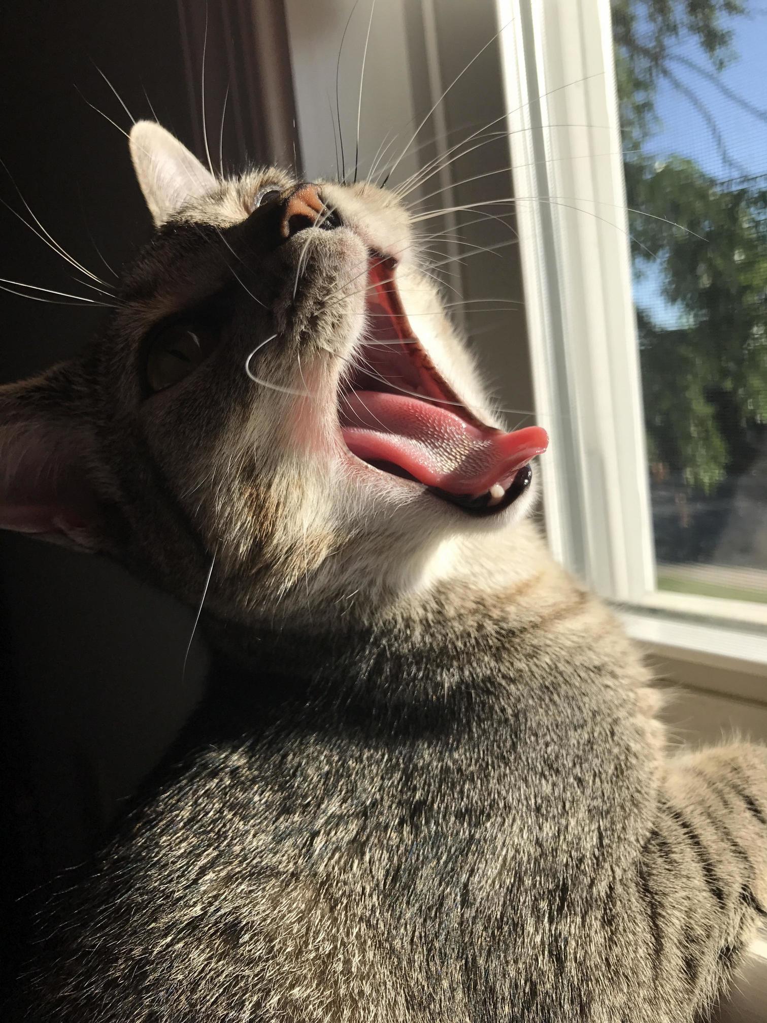 Mooooommmmm