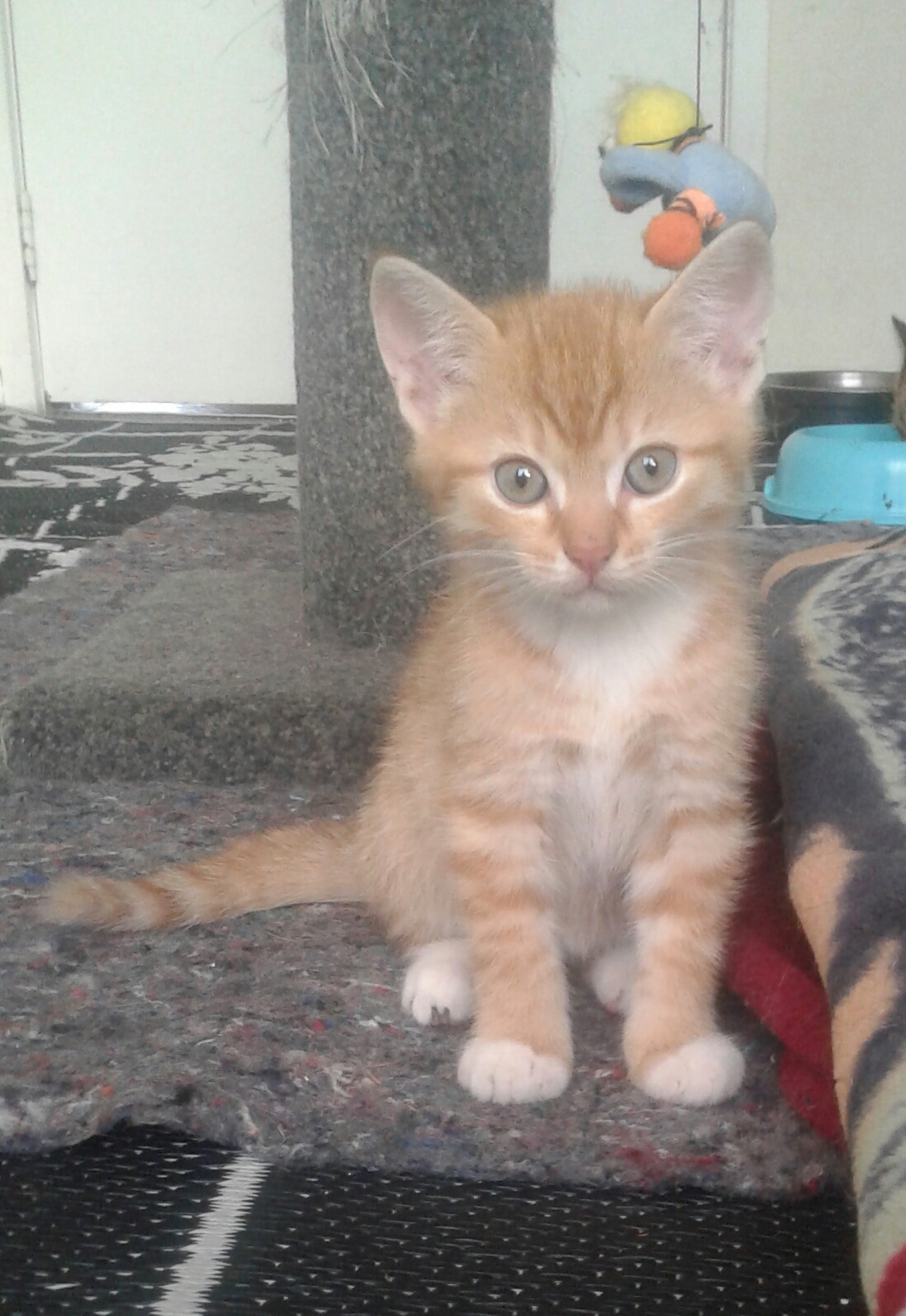 Mr Nosey!