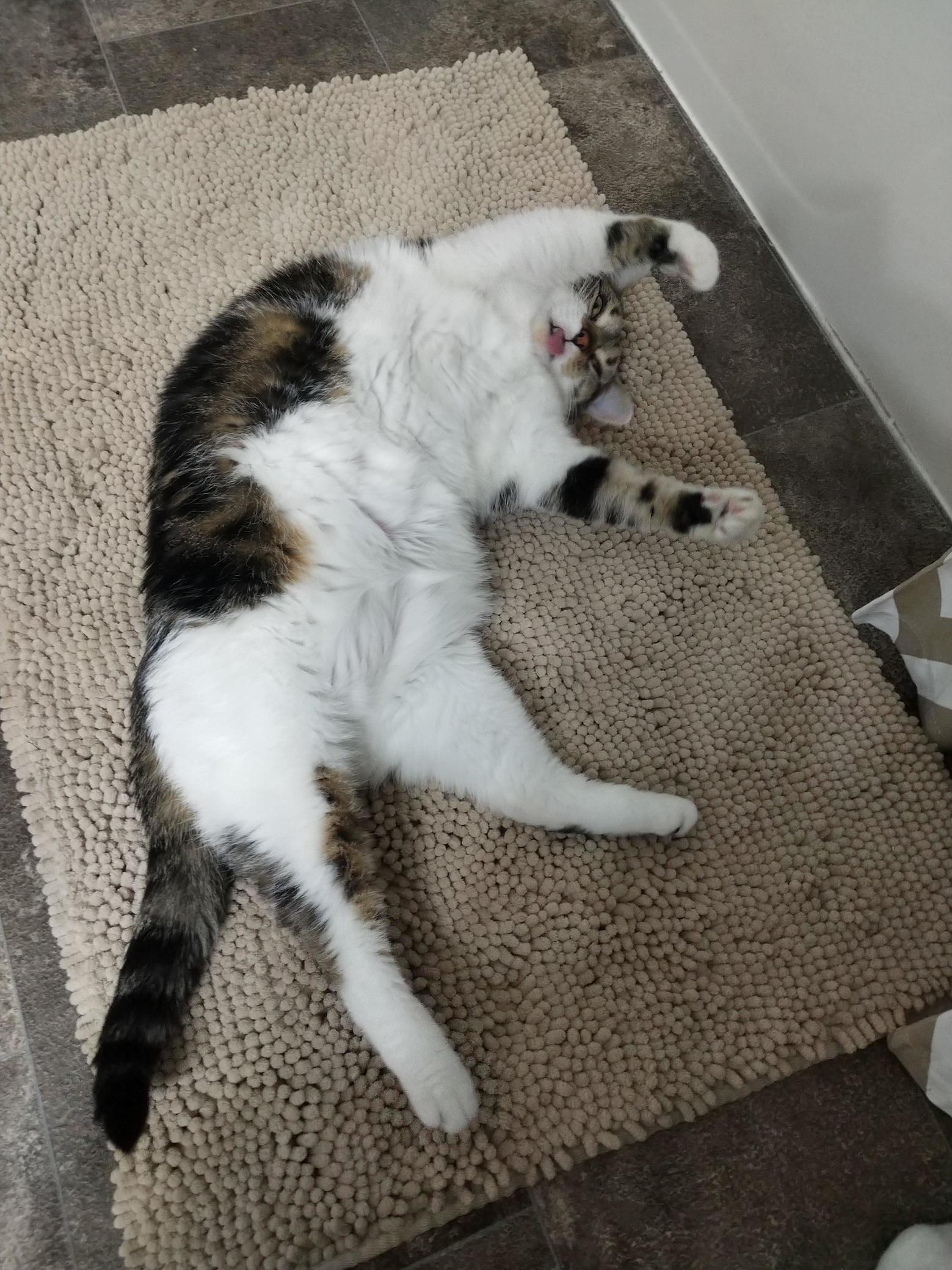 My Bathroom Clown