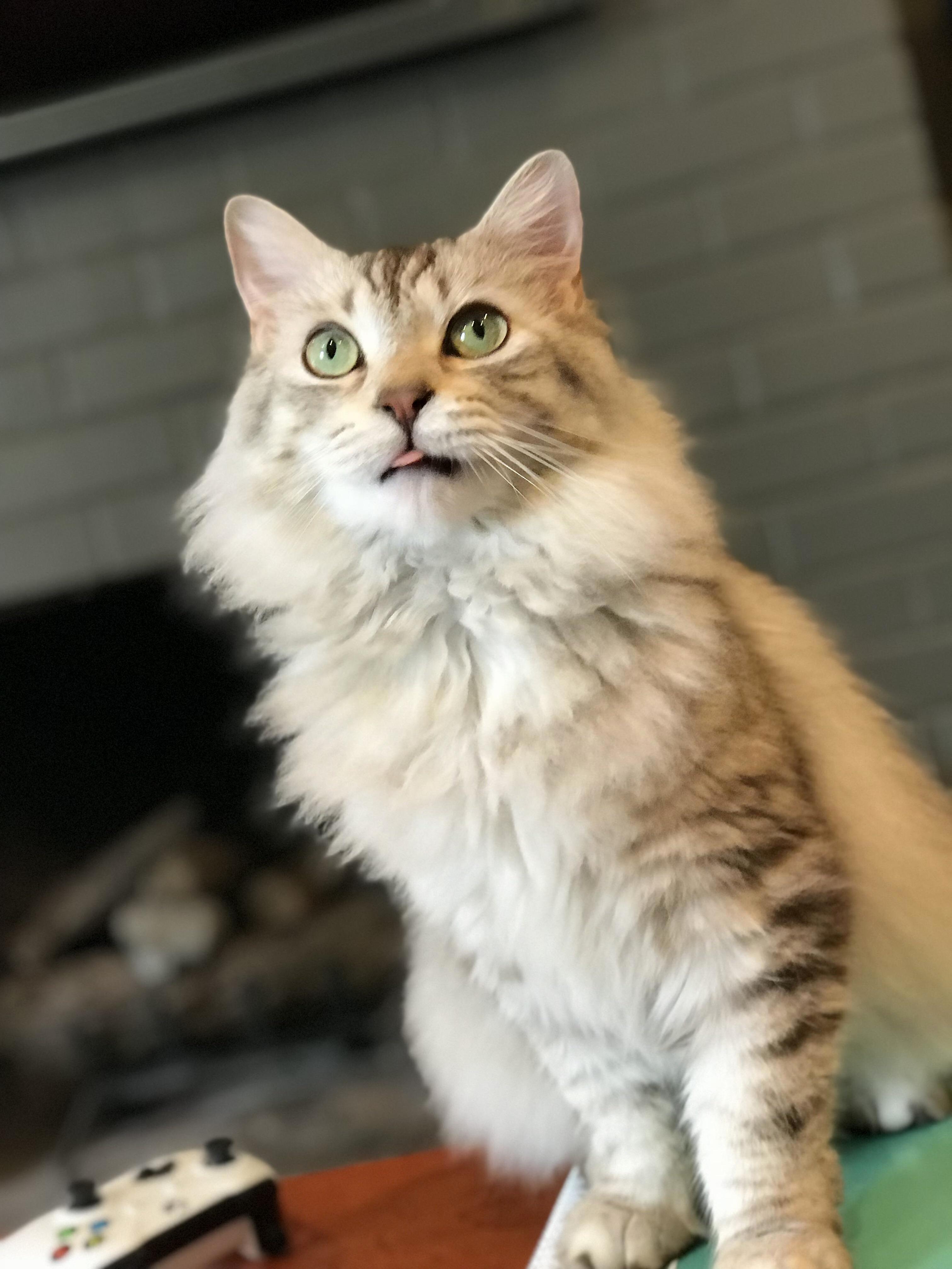 My Big Baby