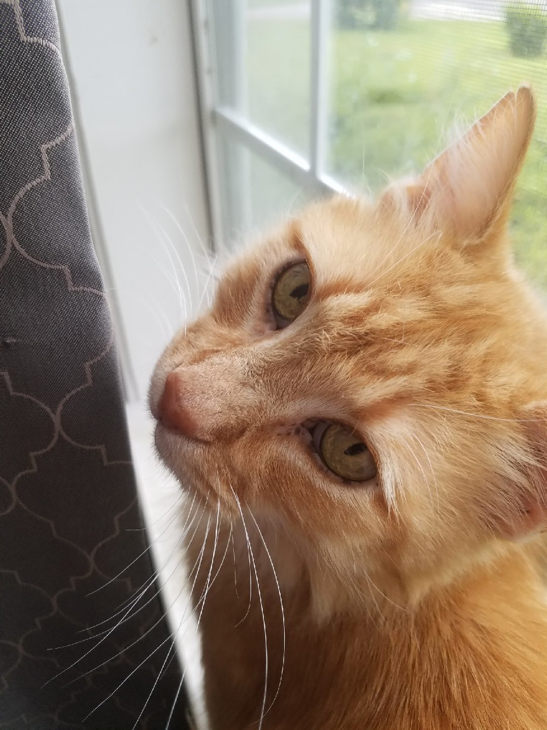 My Girl Is Very Photogenic