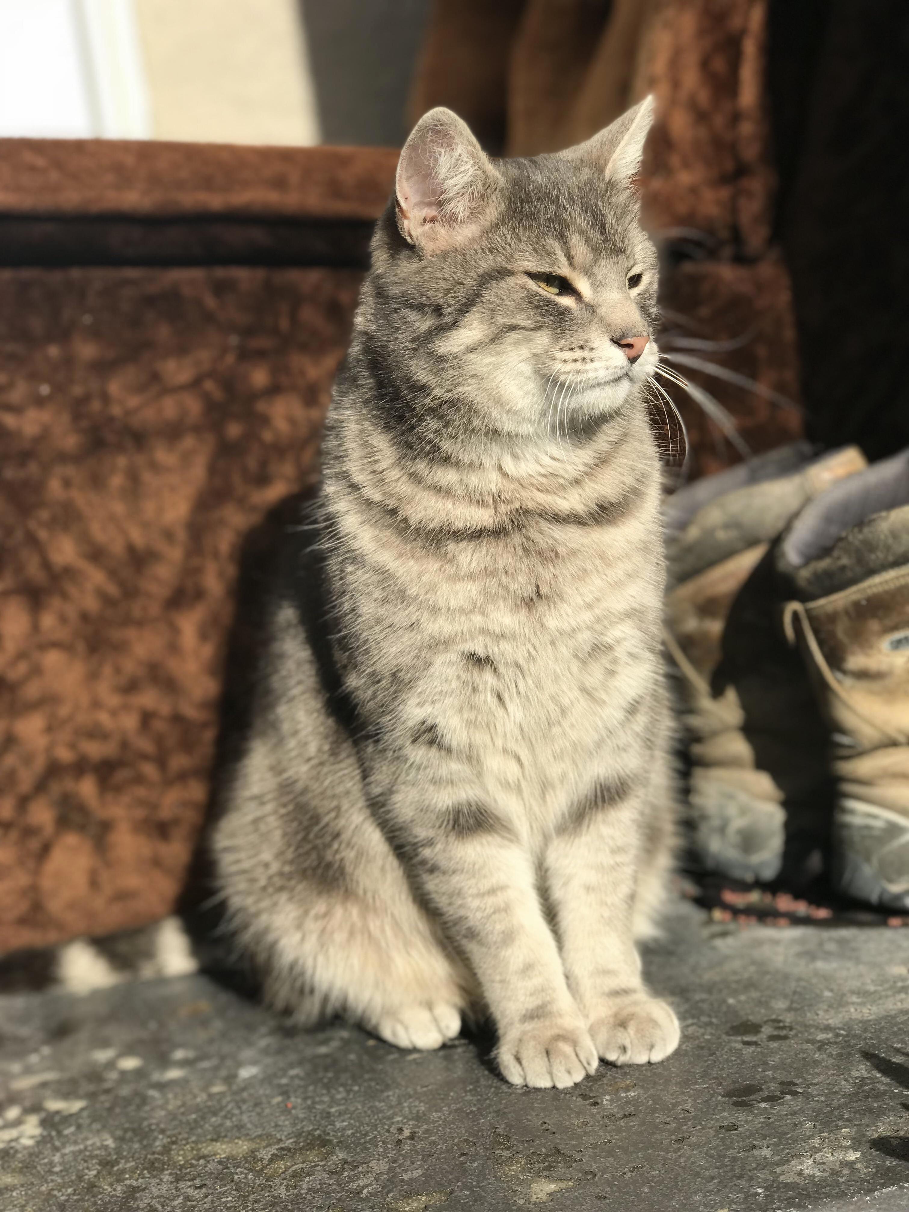 My Handsome Big Man