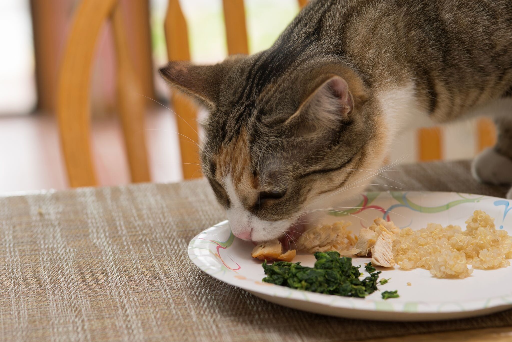 My Lil Girl Is All Grown Up Now. Happy First Birthday to Cali. Here She Is Enjoying Her Birthday Luncheon.