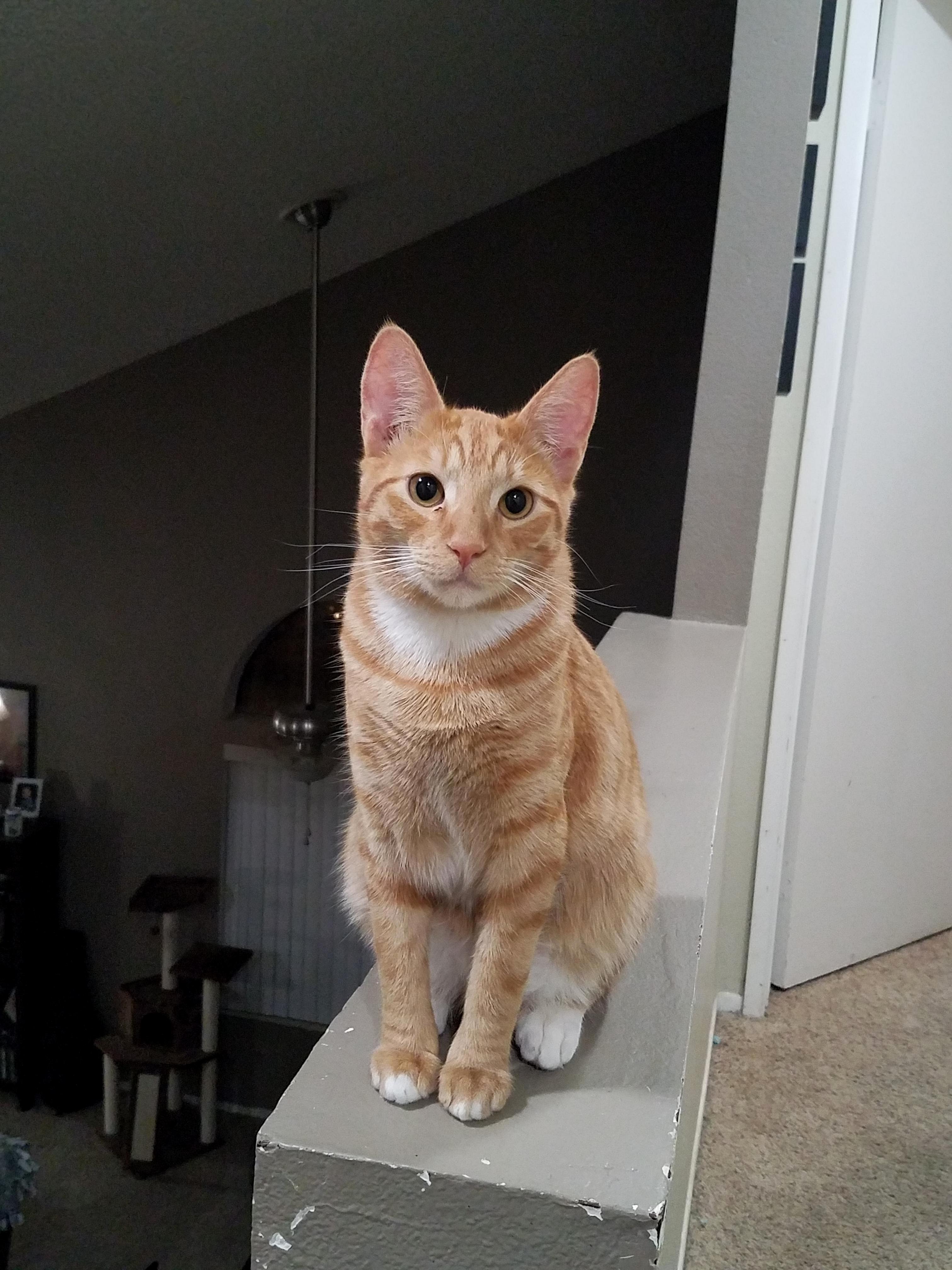 My Photogenic Sunshine Boy.