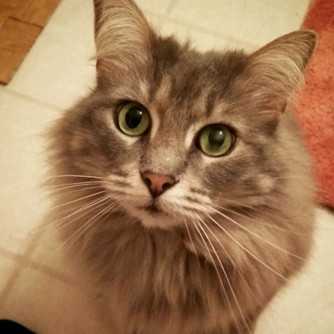 My Sweet Lillie Looks Like a Disney Princess