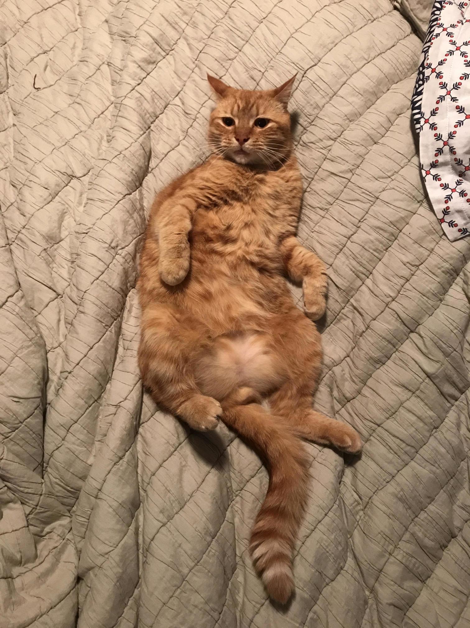 Not Your Best Look Charlie...