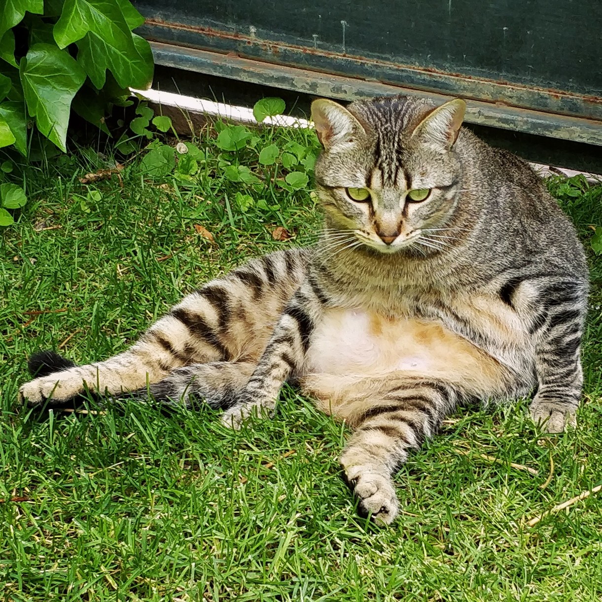 Oh Man, Not Monday Again, Please...