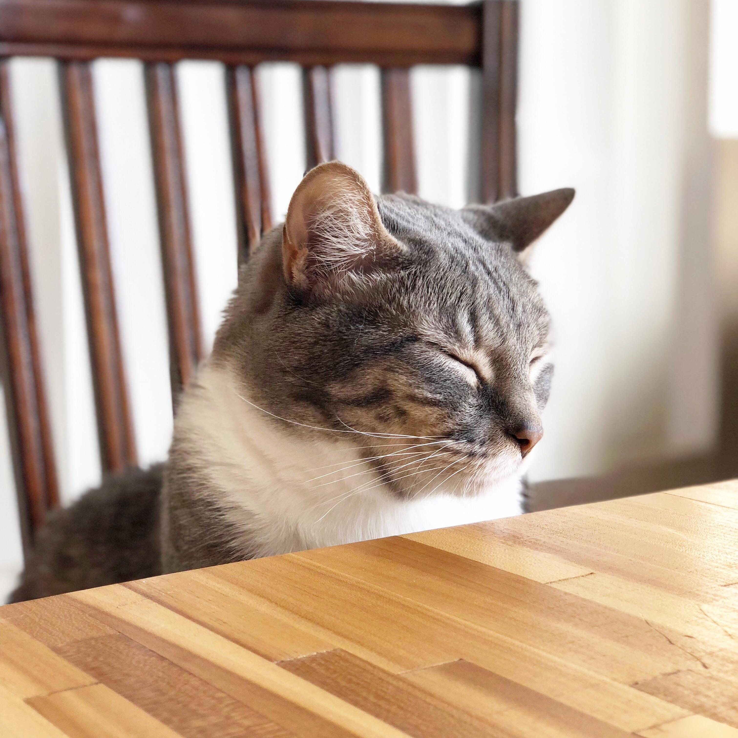 Oliver Cant Wednesday Today.